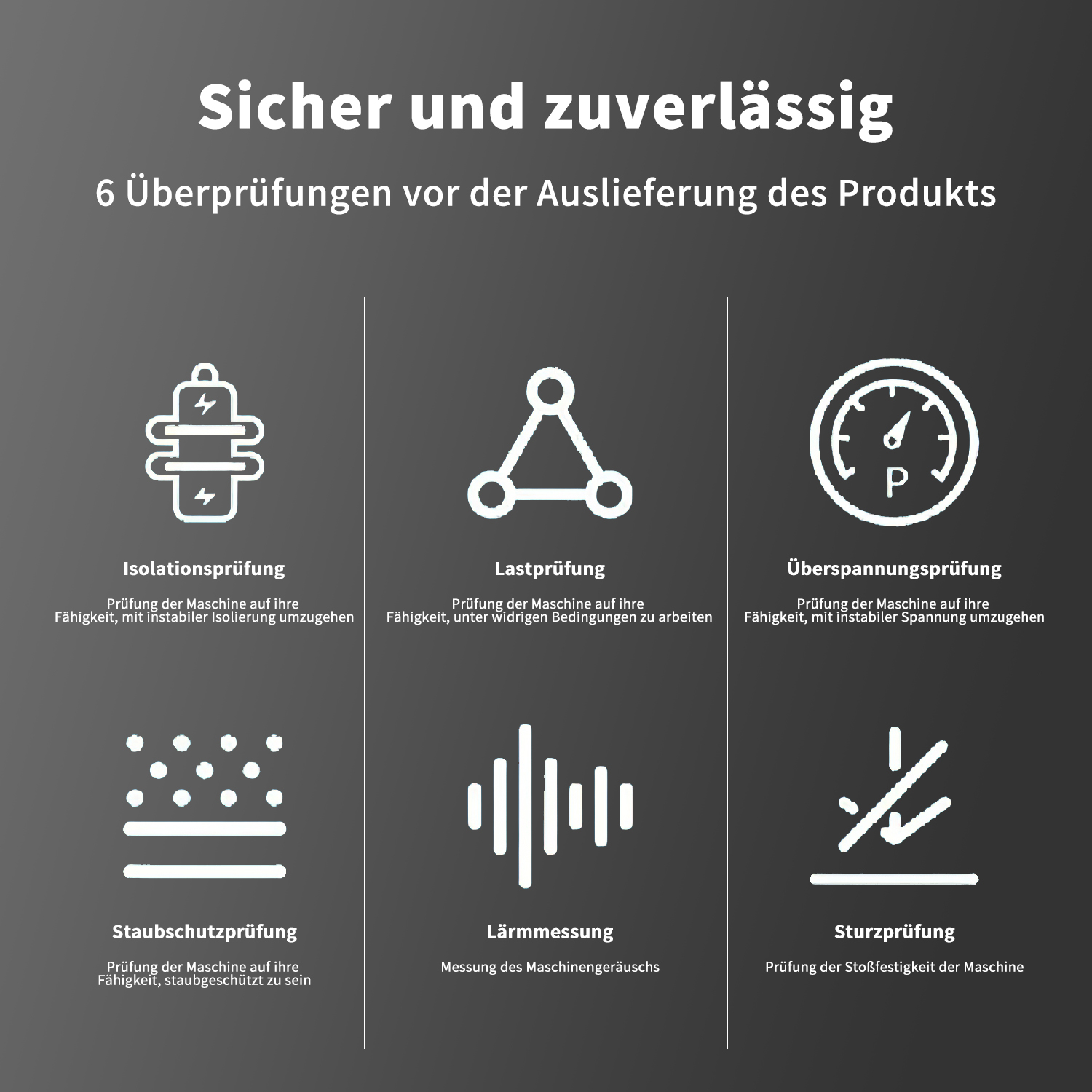 Eine dunkelgraue Grafik mit sechs Qualitätsprüfungen für ein Produkt, mit Symbolen und Text.