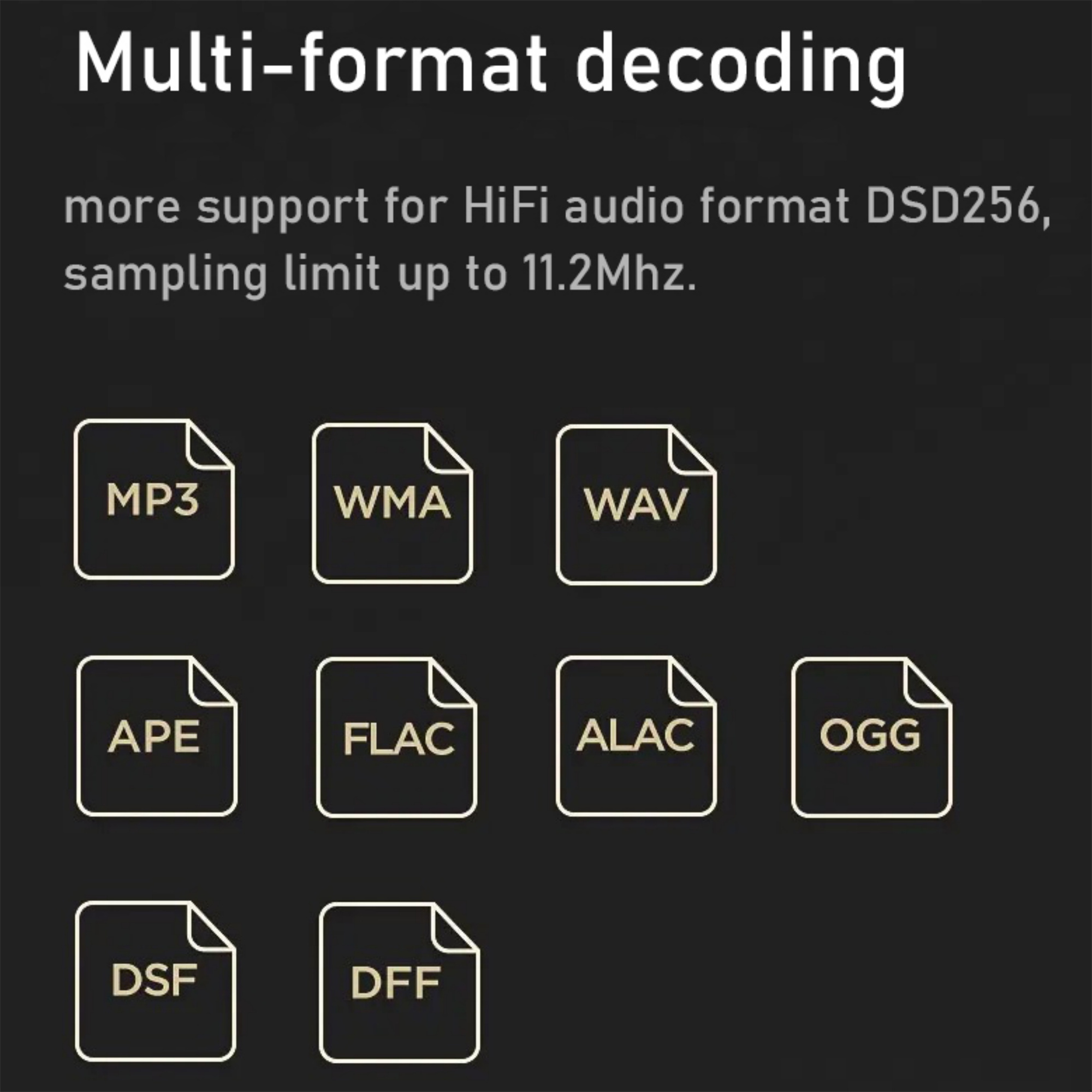 Symbole für Medientypen. Einschließlich MP3, WMA, WAV, APE, FLAC, ALAC, OGG, DSF und DFF.