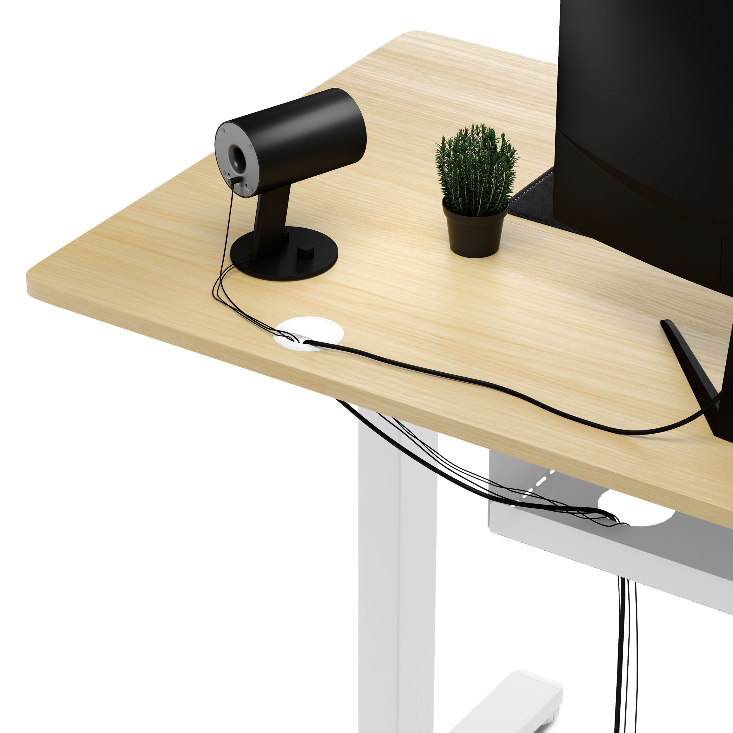 Una scrivania in legno chiaro con un altoparlante nero, una piccola pianta e un monitor. Cavi sulla scrivania.
