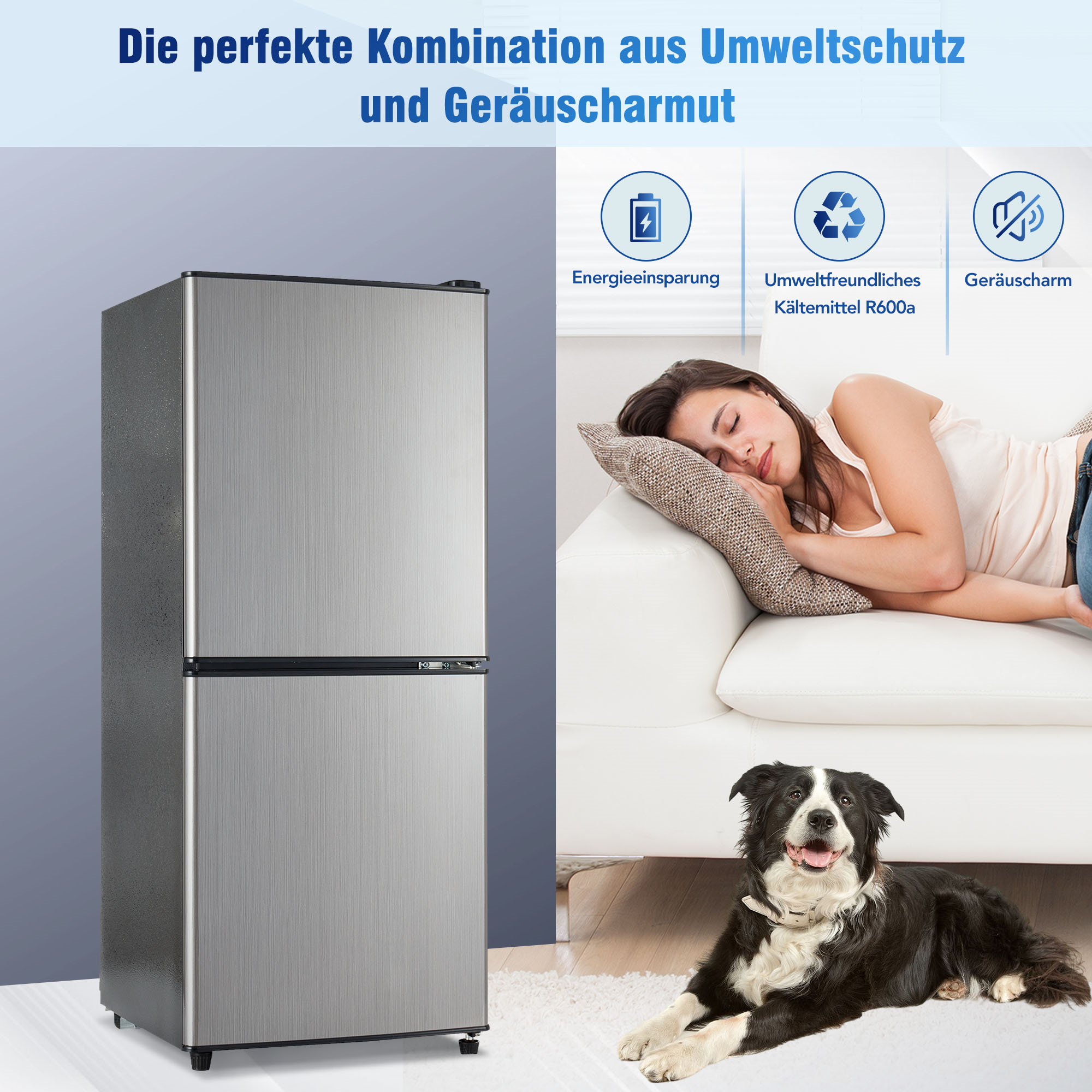 Silberner Kühlschrank, schlafende Frau auf Sofa, Hund auf dem Boden. Text: Perfekte Kombination aus Umweltschutz und Geräuscharmut.