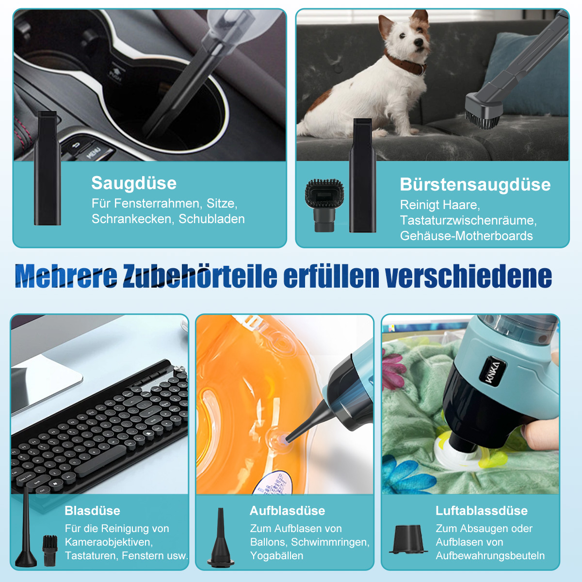 Collage mit verschiedenen Reinigungswerkzeugen und einem Hund, Text auf Deutsch.