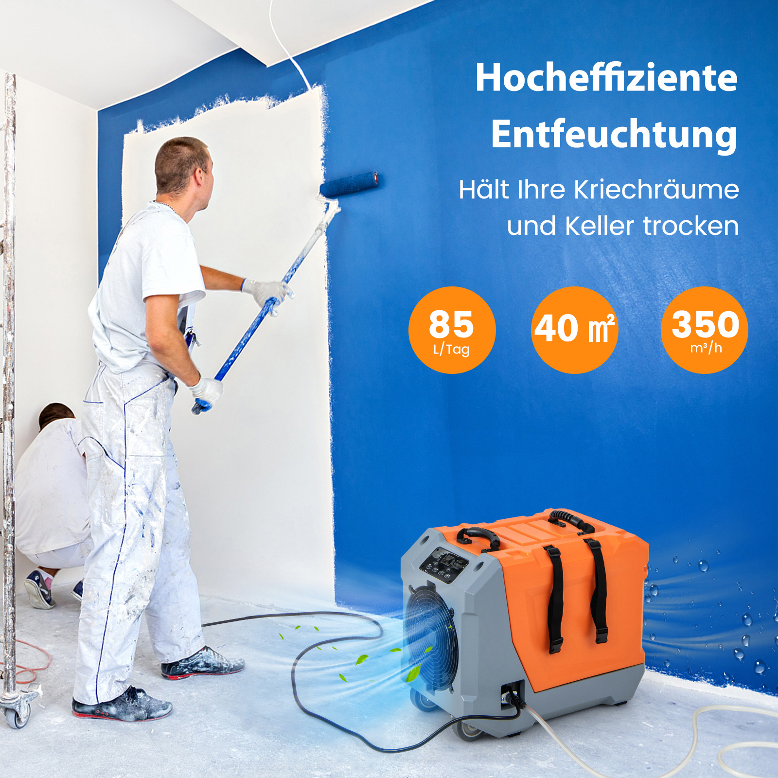 Männer streichen eine blaue Wand mit einer Rolle; ein orangefarbener Luftentfeuchter befindet sich im Vordergrund.
