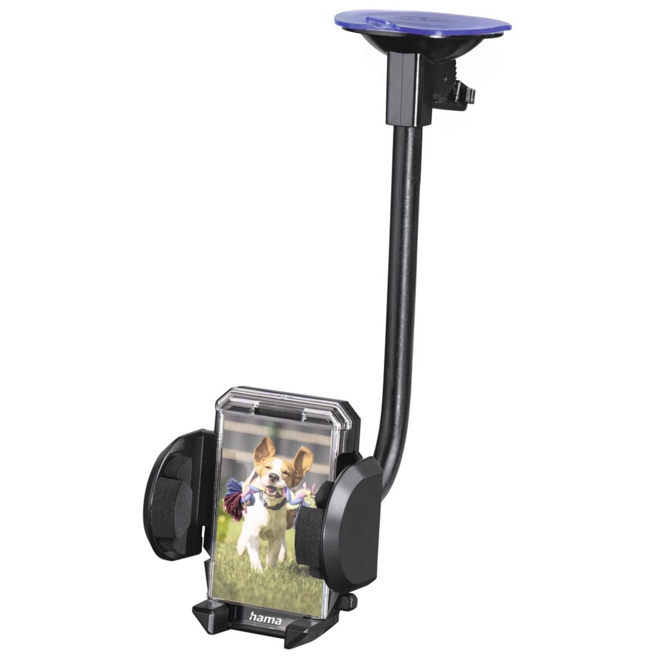 Un telefono in un supporto per auto, che mostra l'immagine di un cane, con ventosa blu.