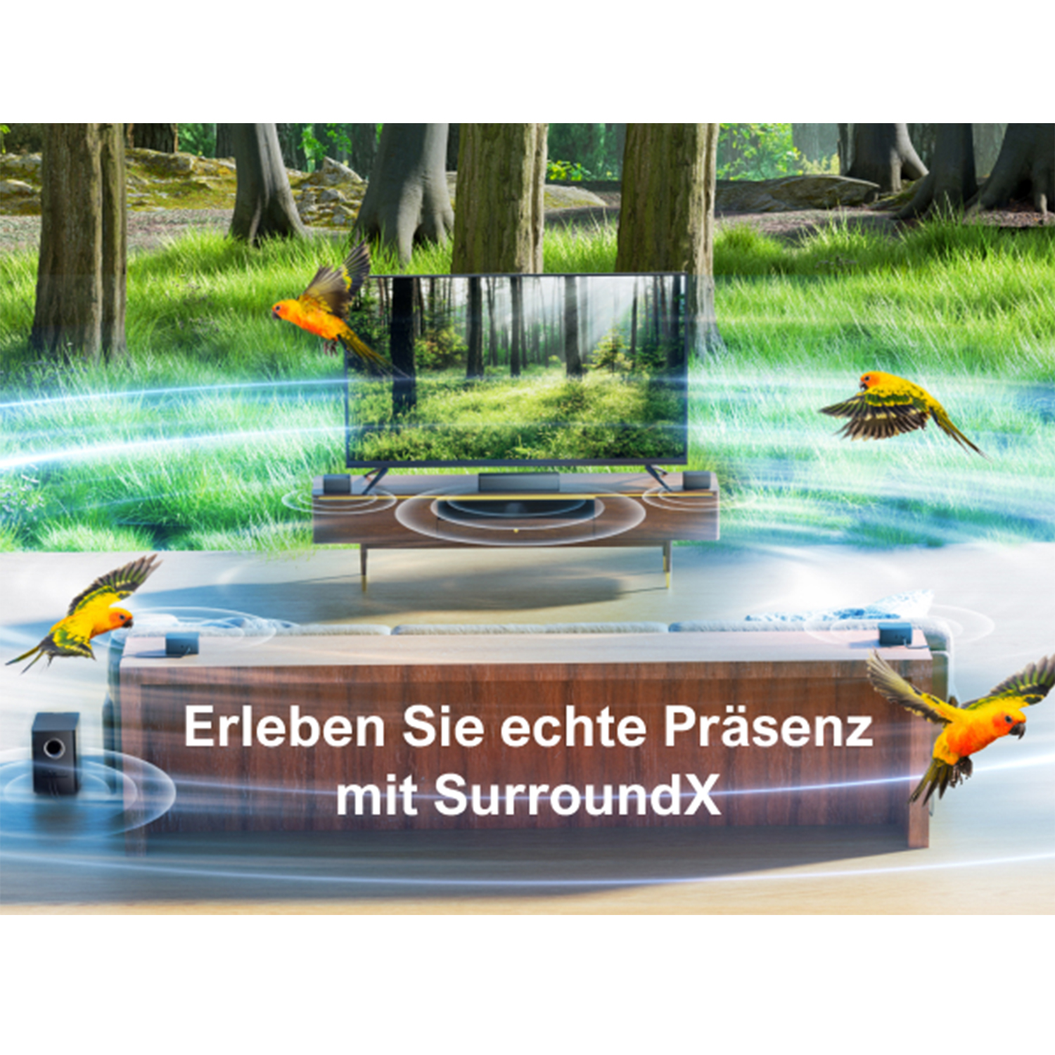 Ein Fernsehbildschirm in einer Waldumgebung mit fliegenden Vögeln, Werbung für SurroundX.