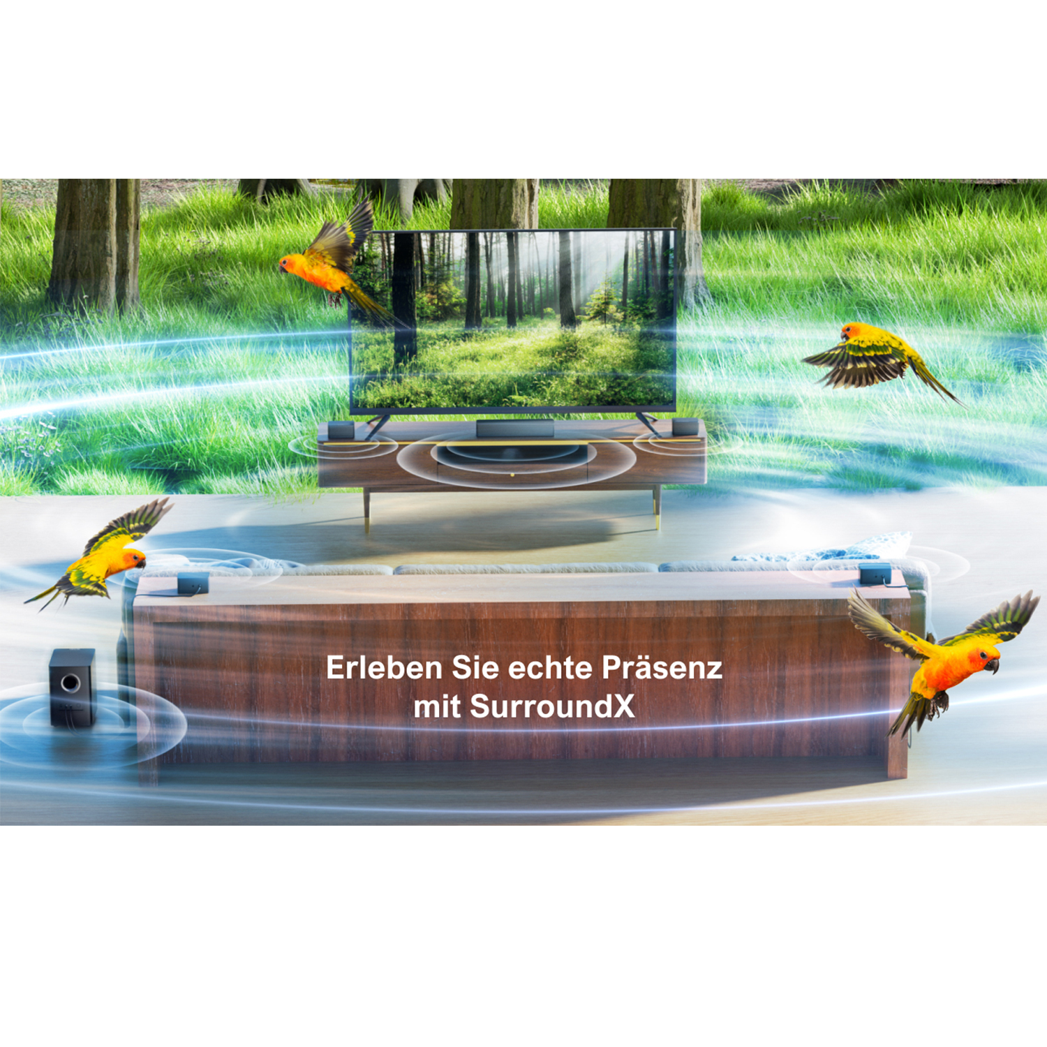 Surround-Sound-System mit Vögeln, die um einen Fernseher in einem Wald fliegen.