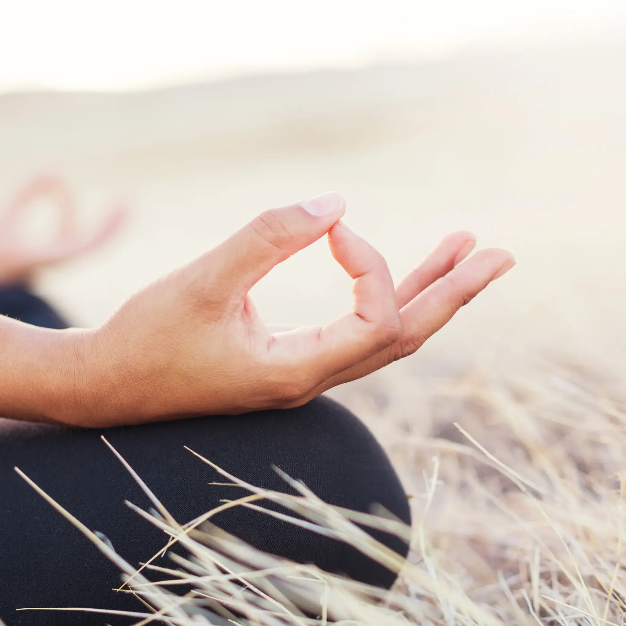 Close up of a person's hand in a yoga mudra, over dry grass. The focus is on the hand.