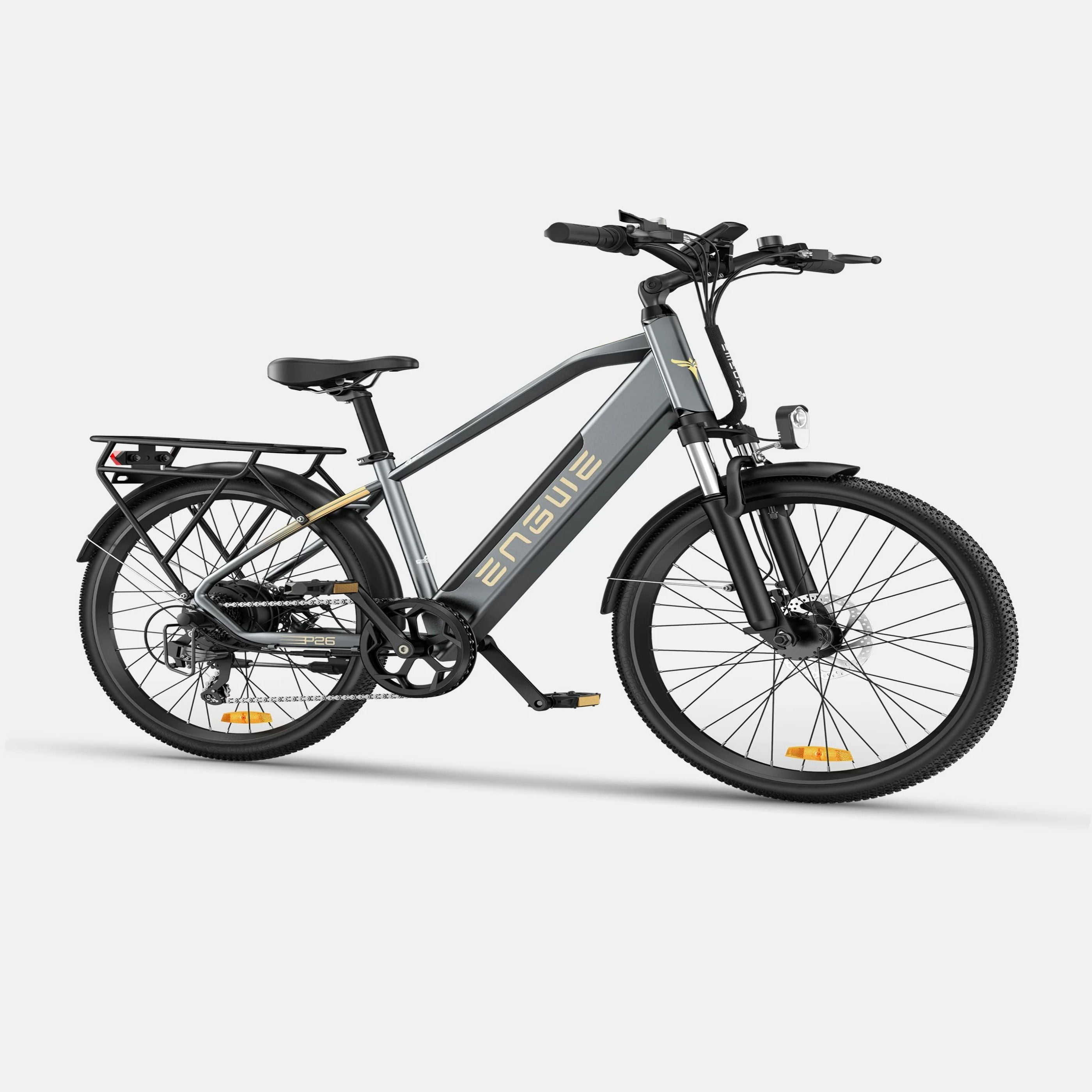 Bicicletta elettrica grigia con pneumatici neri e portapacchi.