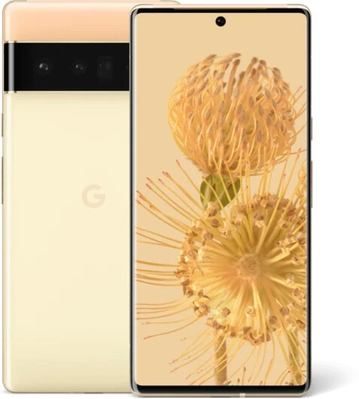 Ein goldenes Telefon zeigt ein Blumenbild, mit einem anderen Telefon dahinter.