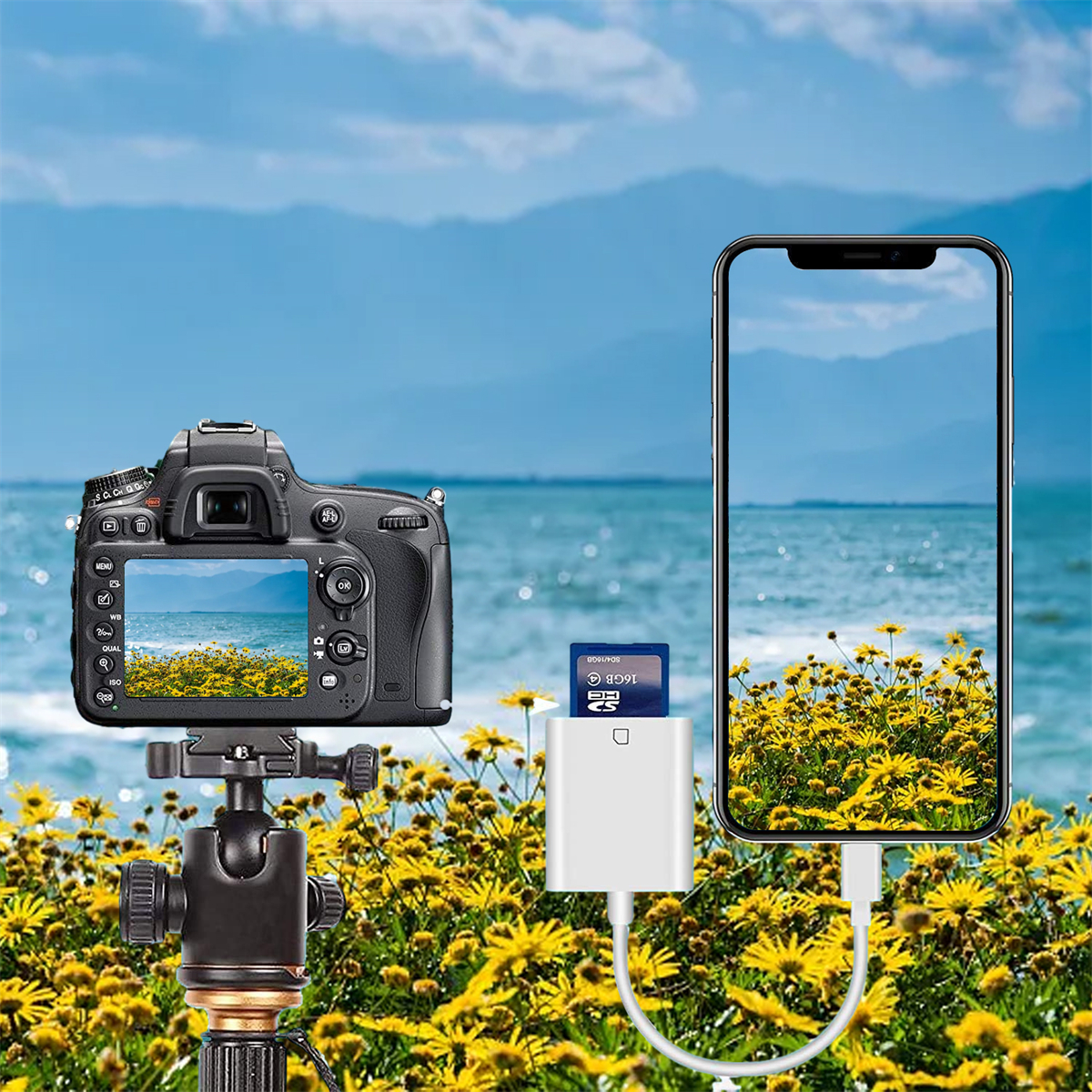 Kamera auf Stativ, verbunden mit Telefon mit Speicherkarte und Blumen.