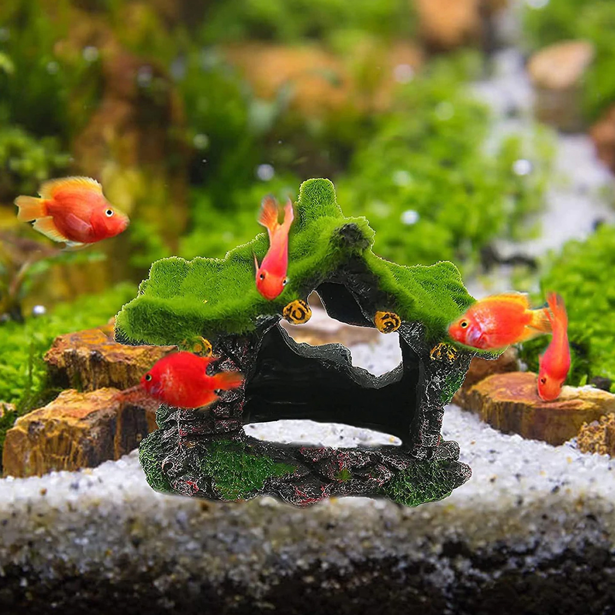 Aquariumszene mit orangefarbenen Fischen und einer moosgrünen, hausförmigen Dekoration.