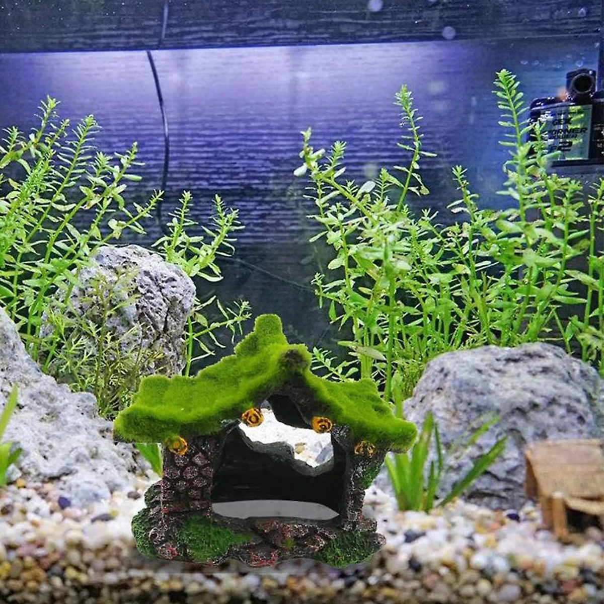 Aquariumszene mit einem moosigen Hausornament, Felsen und grünen Pflanzen. Das Wasser ist klar.