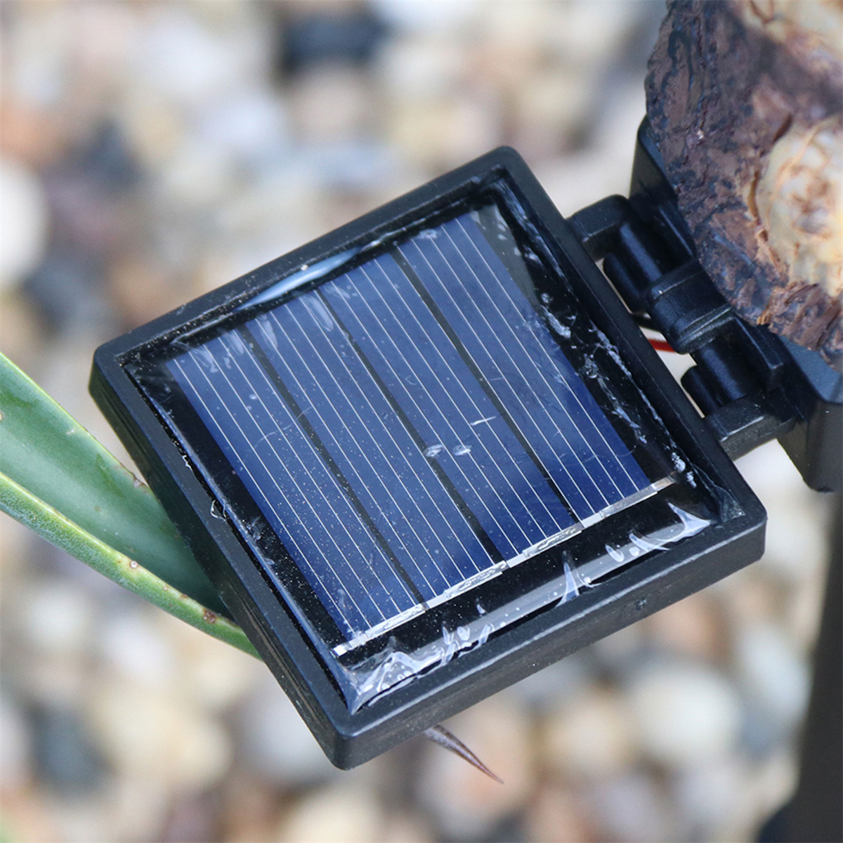Nahaufnahme eines Solarpanels mit schwarzem Rahmen in einer Außenumgebung.