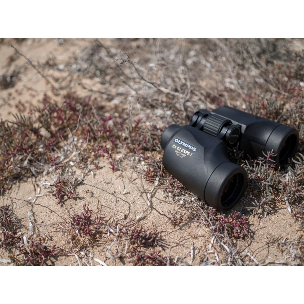 Lornetka na piaszczystej powierzchni z kilkoma roślinami. Marka to Olympus.