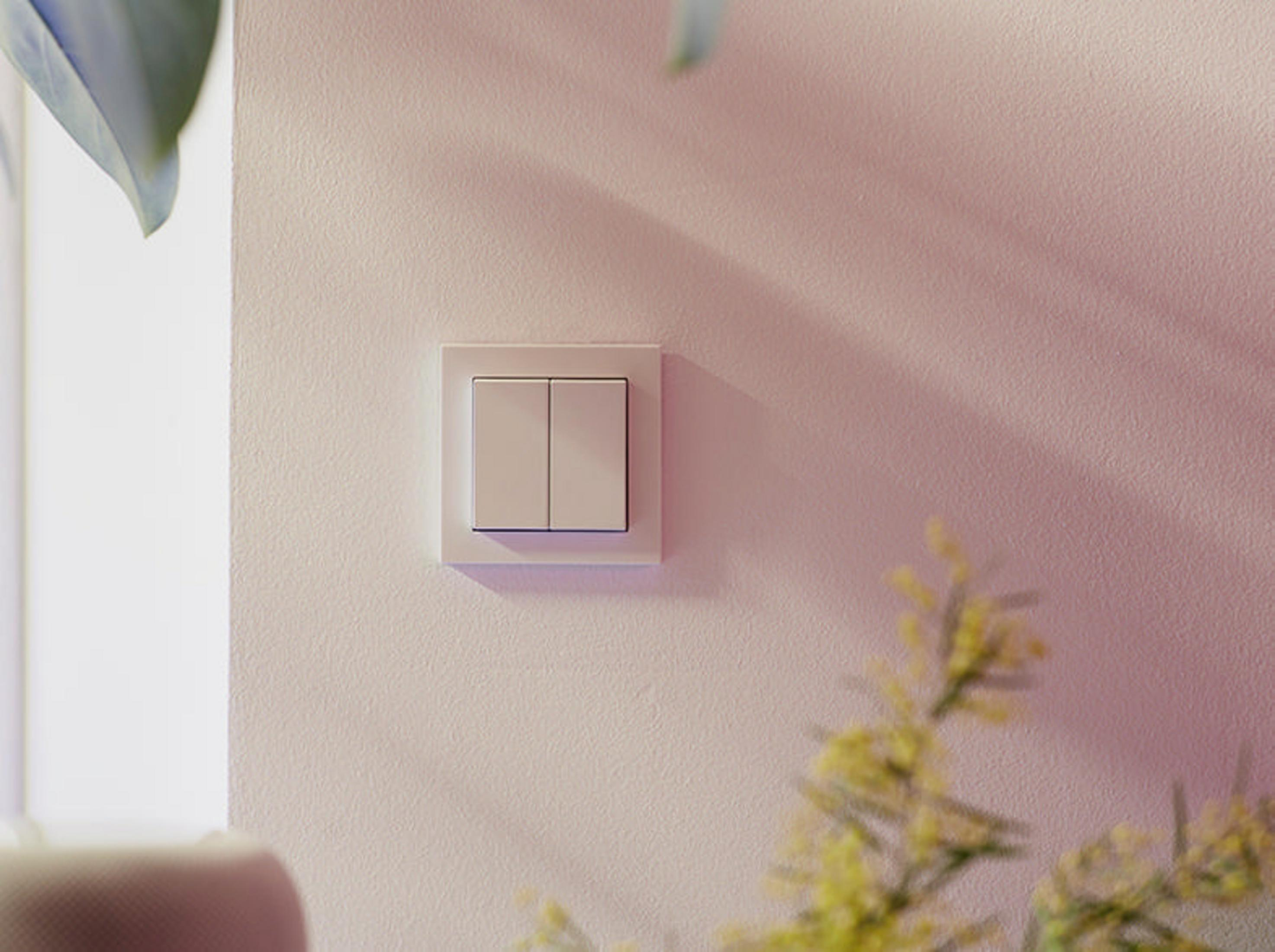 Ein weißer Lichtschalter an einer rosa Wand. Eine Pflanze ist in der unteren Ecke des Bildes zu sehen.
