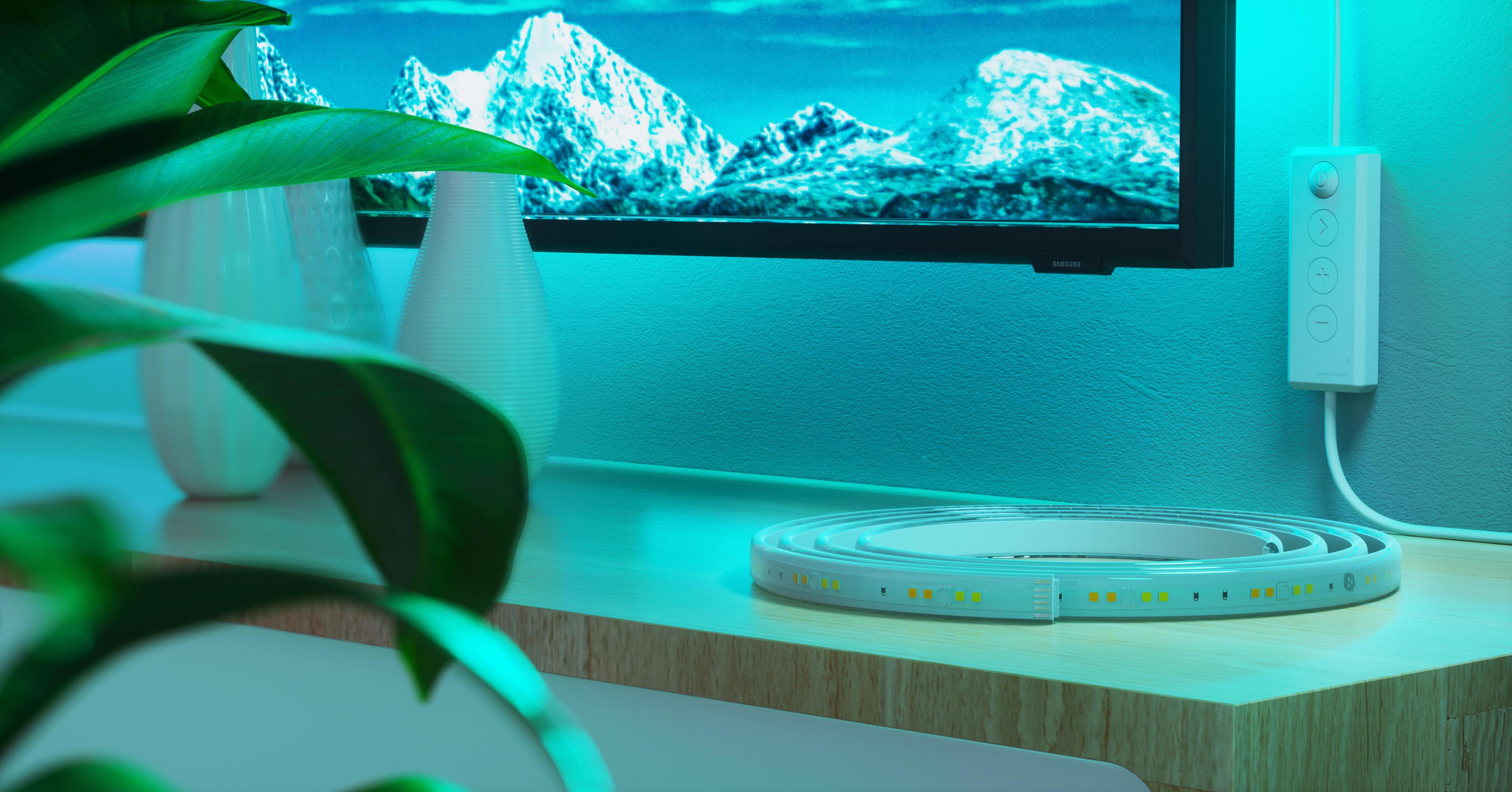 Ein Fernsehbildschirm mit Berglandschaft, ein Lichtstreifen und ein Bedienfeld an der Wand. Pflanzen davor.