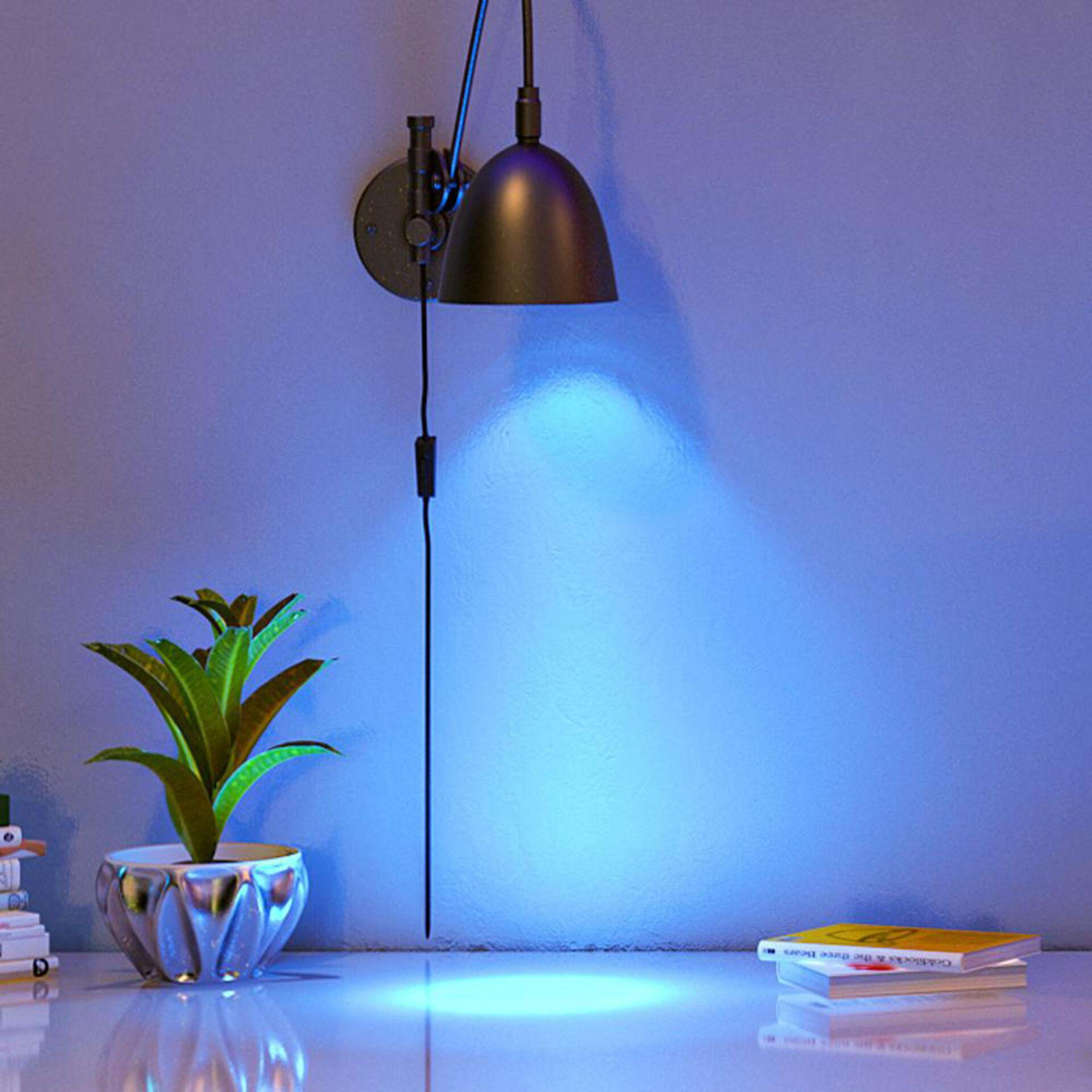 Eine Wandlampe scheint auf einen Schreibtisch mit Pflanze und Büchern. Der Hintergrund ist blau.