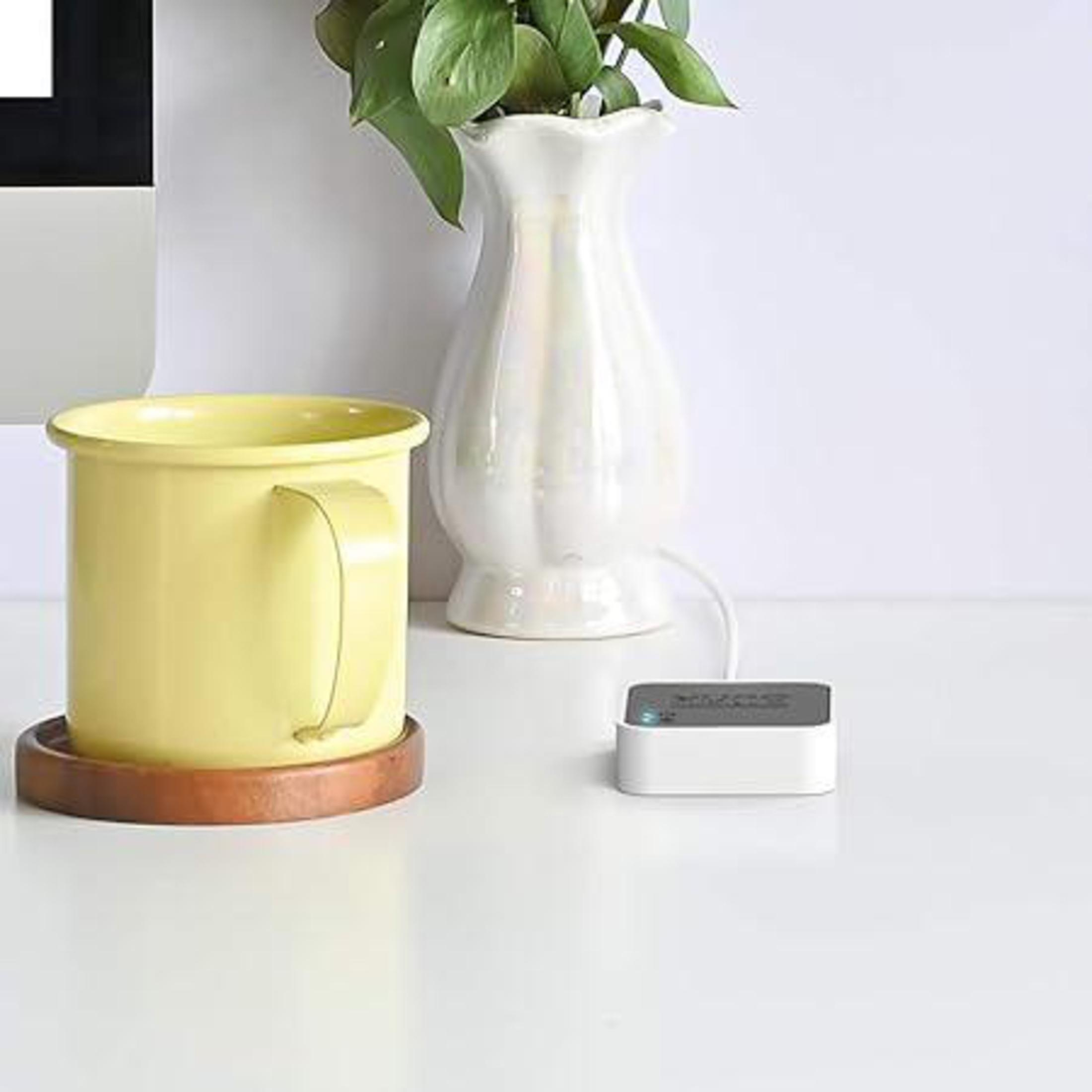 Gelber Becher auf einem Holzuntersetzer. Weiße Vase mit Pflanze. Weißer Schreibtisch mit einem kleinen elektronischen Gerät.
