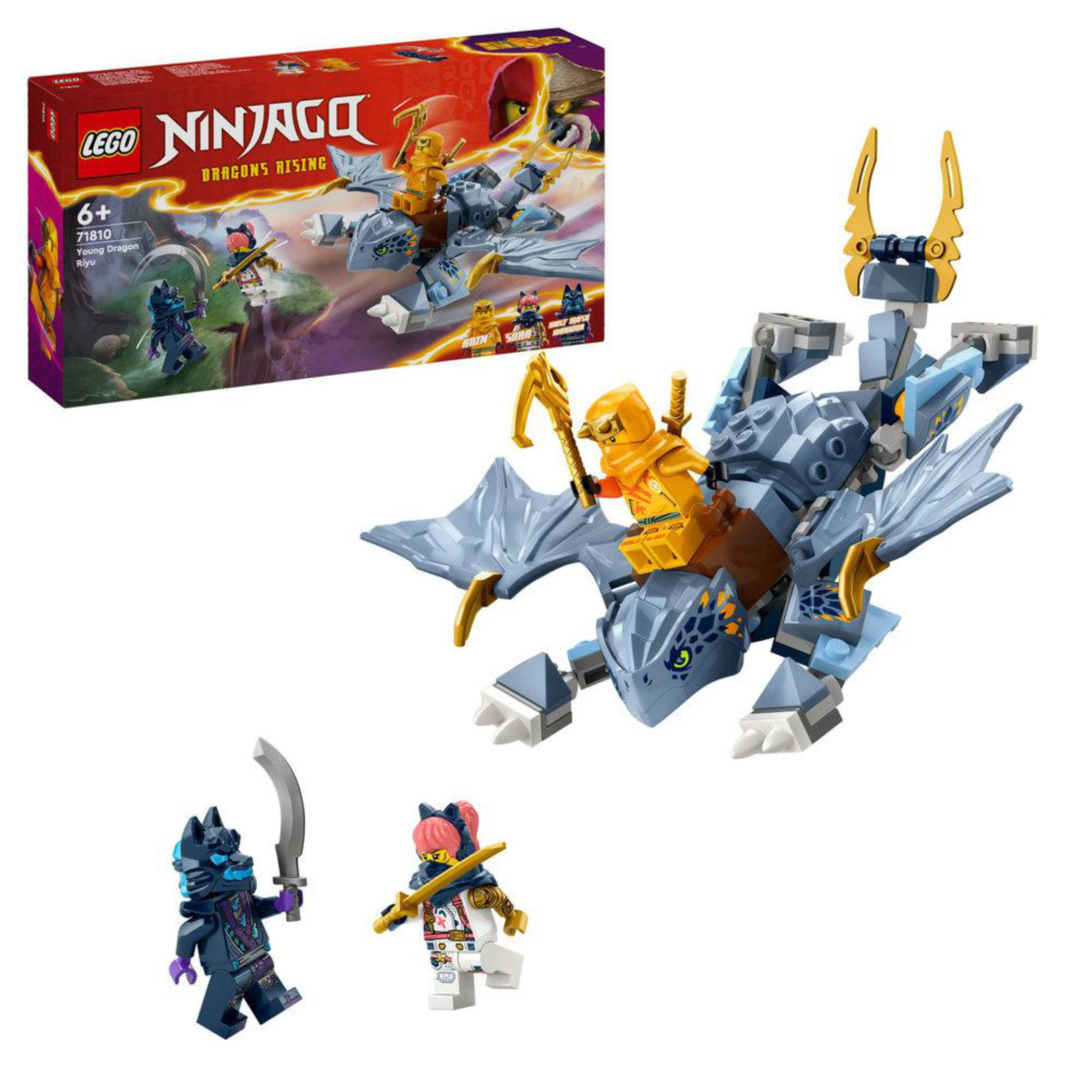 LEGO Ninjago Young Dragon Riyu 71810