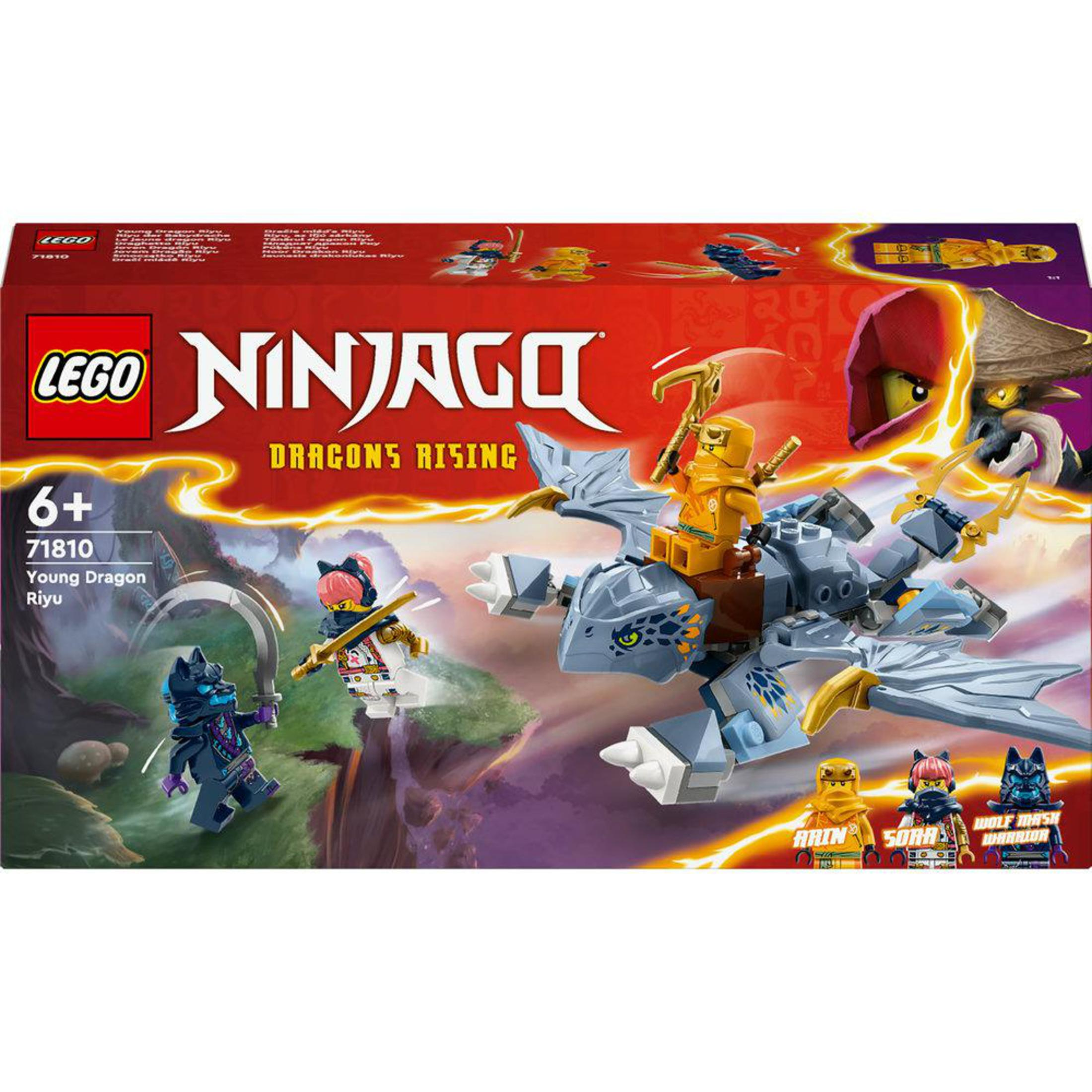 Lego Ninjago Box-Set. Zeigt einen Drachen, der mit Ninjas fliegt, und einen roten Himmel im Hintergrund.