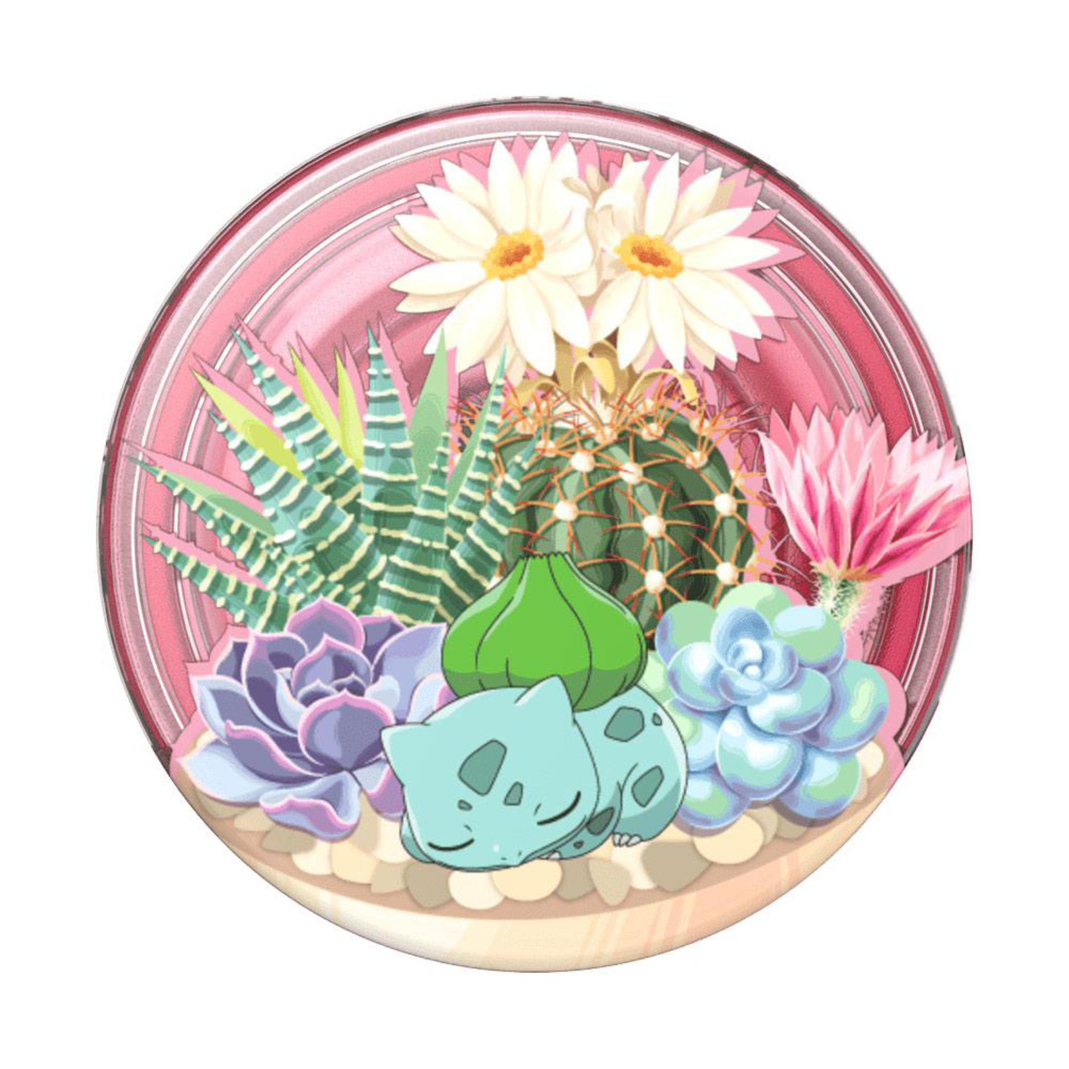 Un terrario con cactus e una statuina di Bulbasaur. Ha uno sfondo rosa.