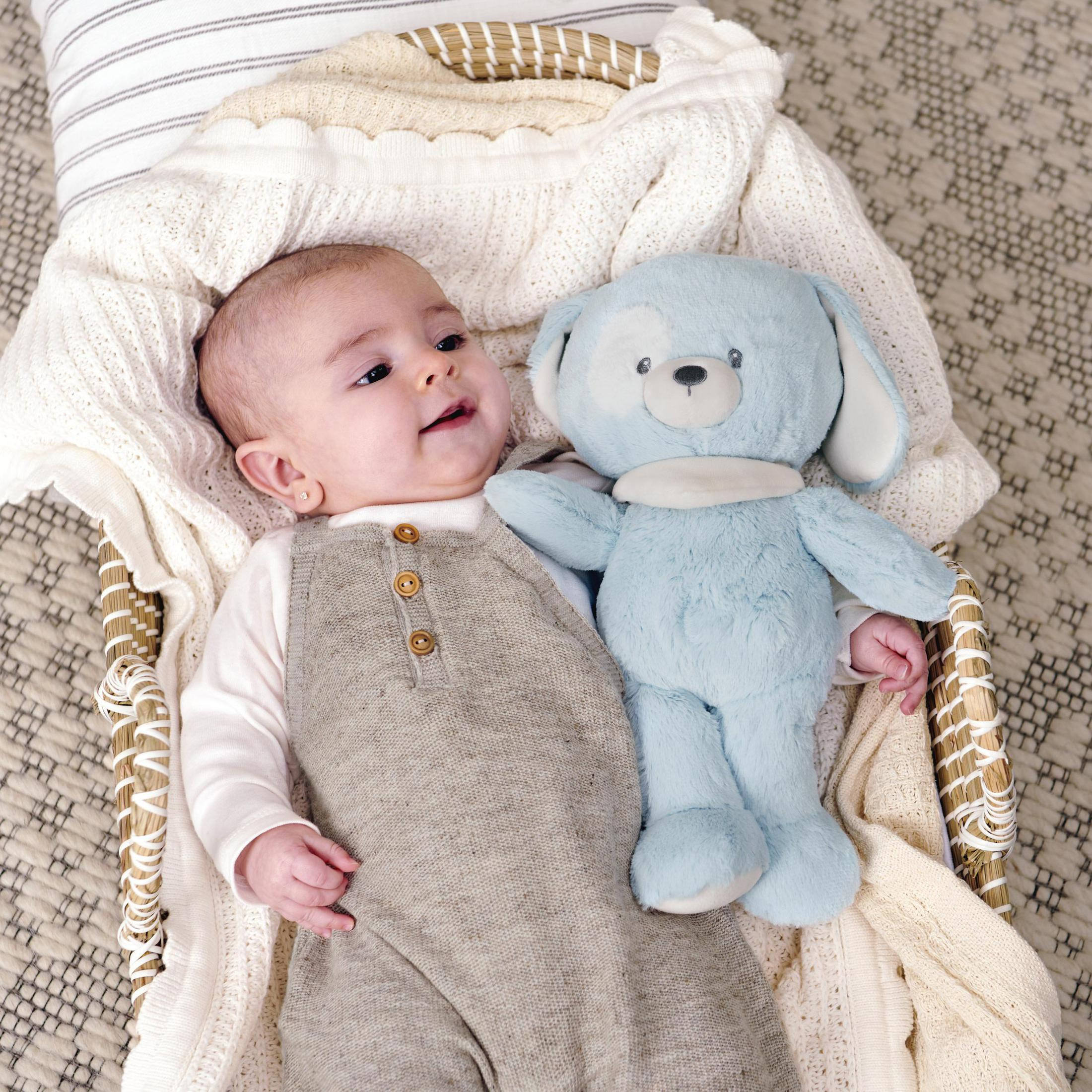 Baby in einem Korb mit einem blauen Hundespielzeug. Baby blickt hoch, lächelnd. Korb auf gemustertem Teppich.
