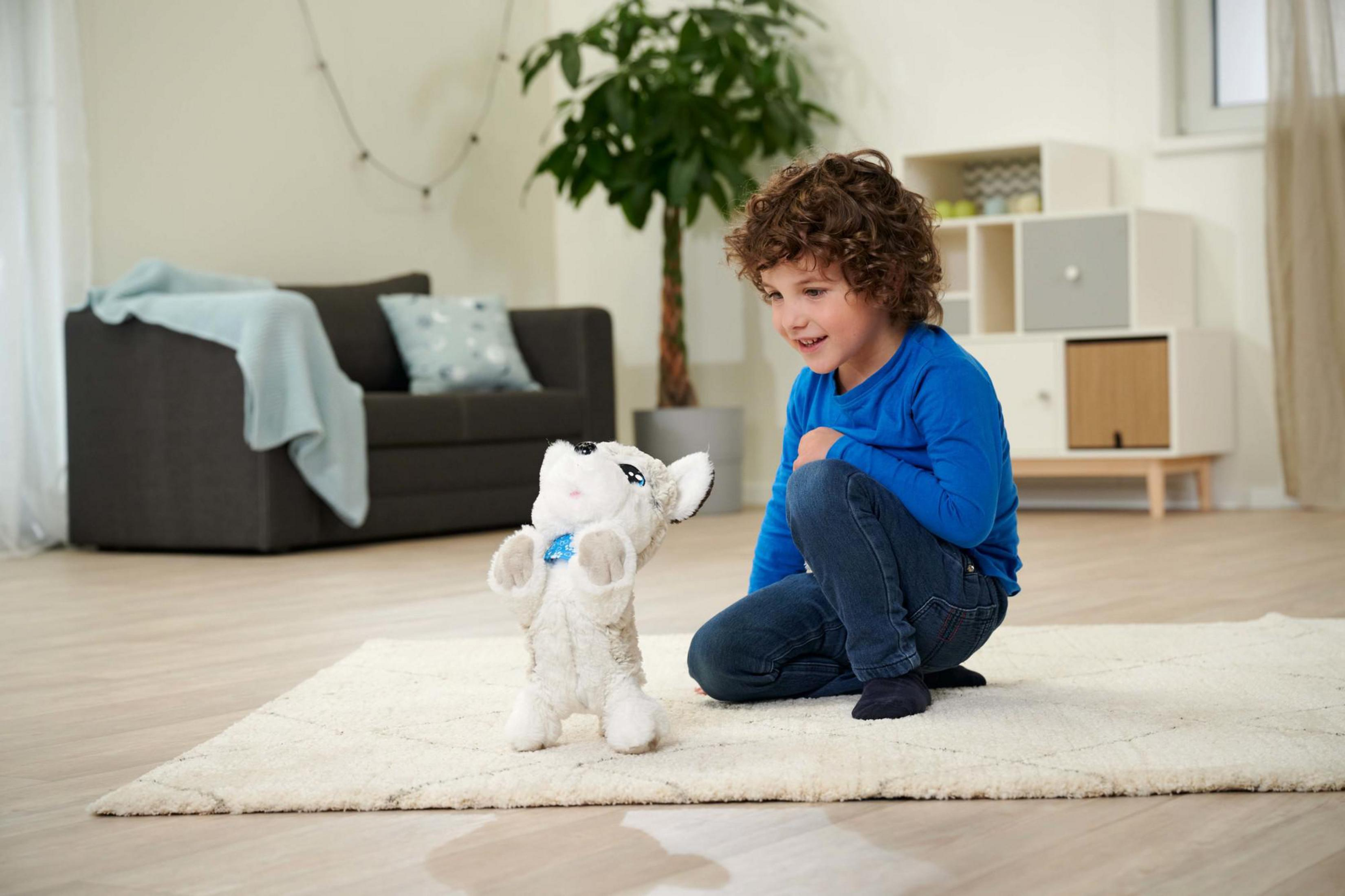 Ein Junge kniet, betrachtet einen Plüschhund. Der Hund steht auf.