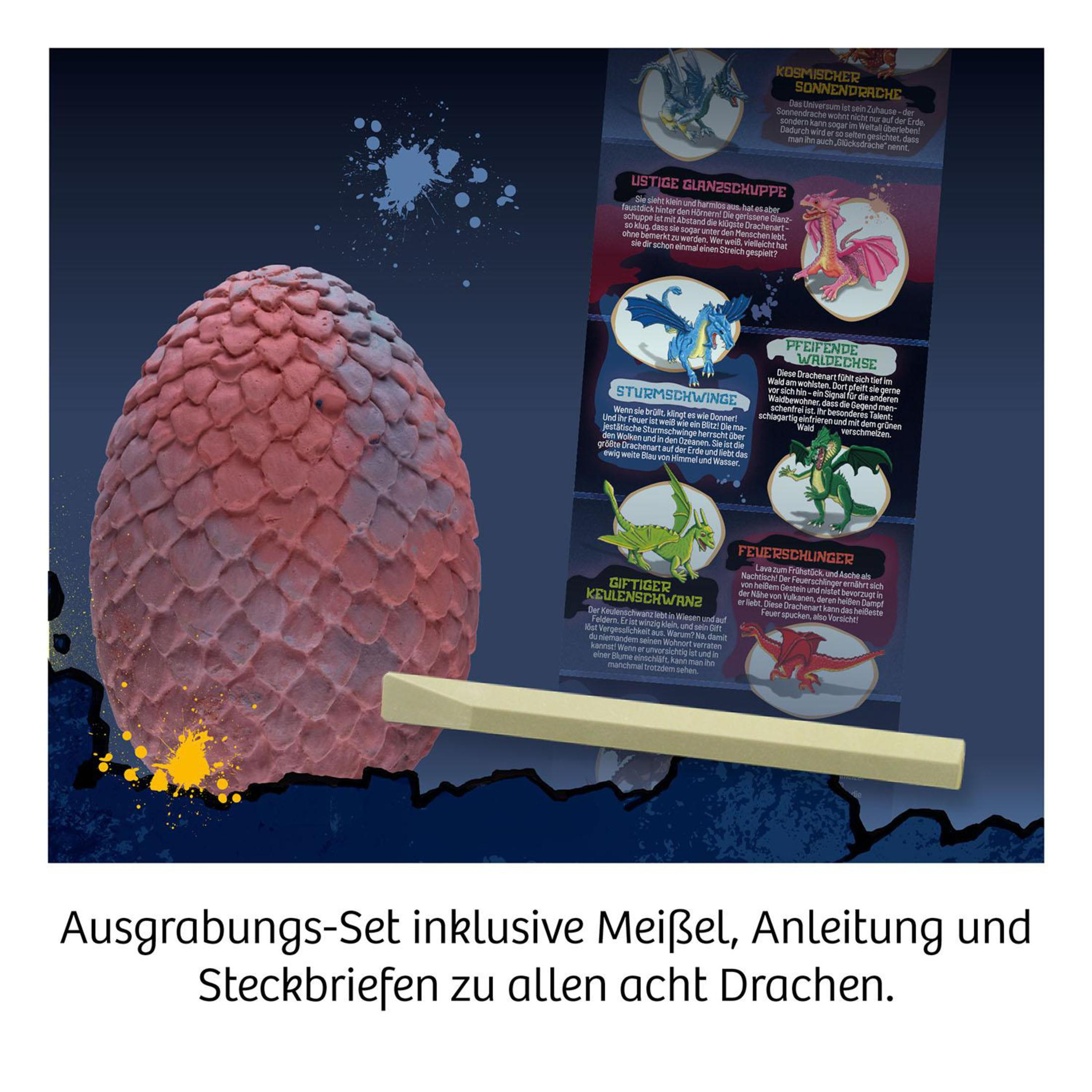Ein Lernspielzeug mit einem Drachenei und Informationskarten.