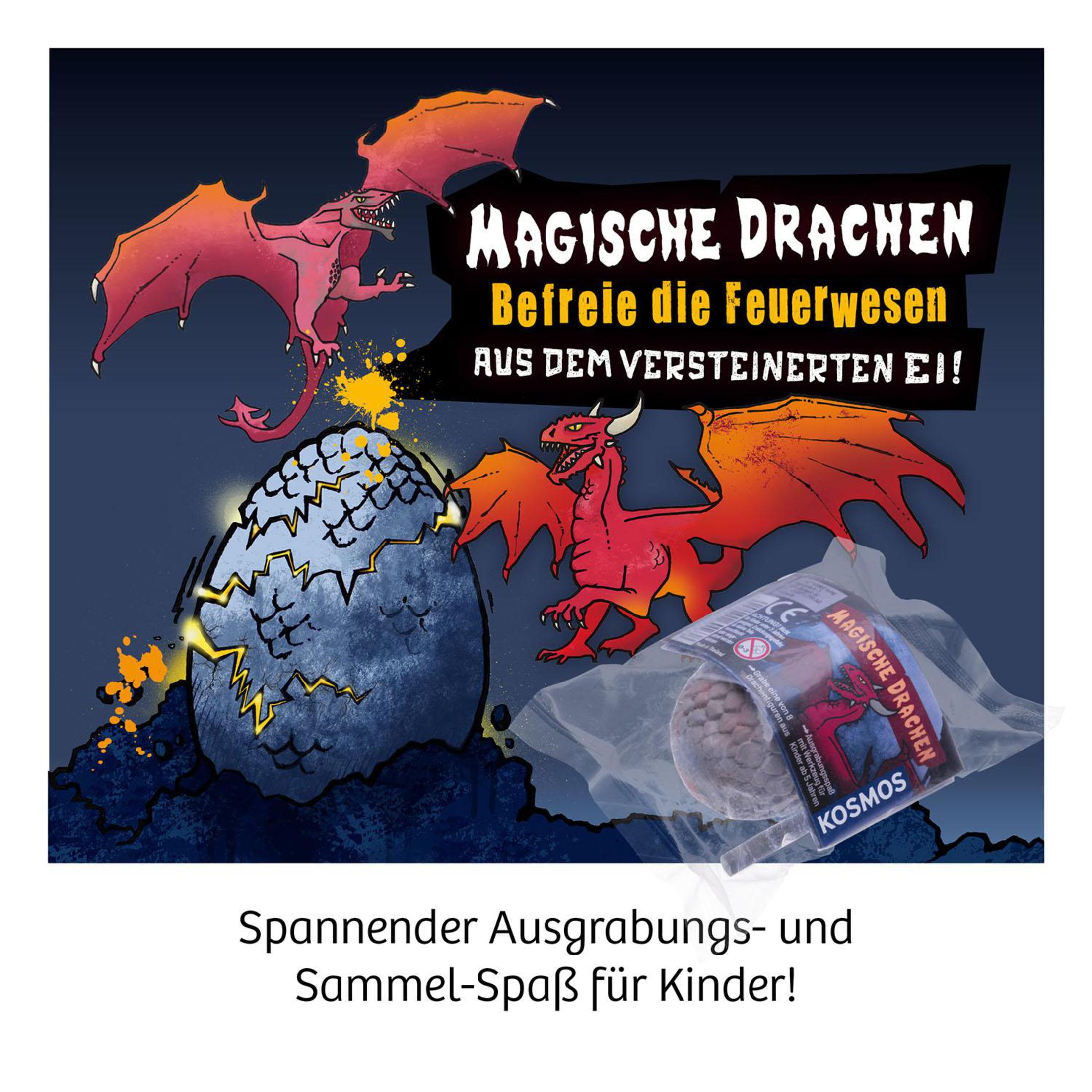 Eine Spielzeugbox mit Drachen-Thema, mit Drachen, einem Ei und dem Text 'MAGISCHE DRACHEN' (Magische Drachen).