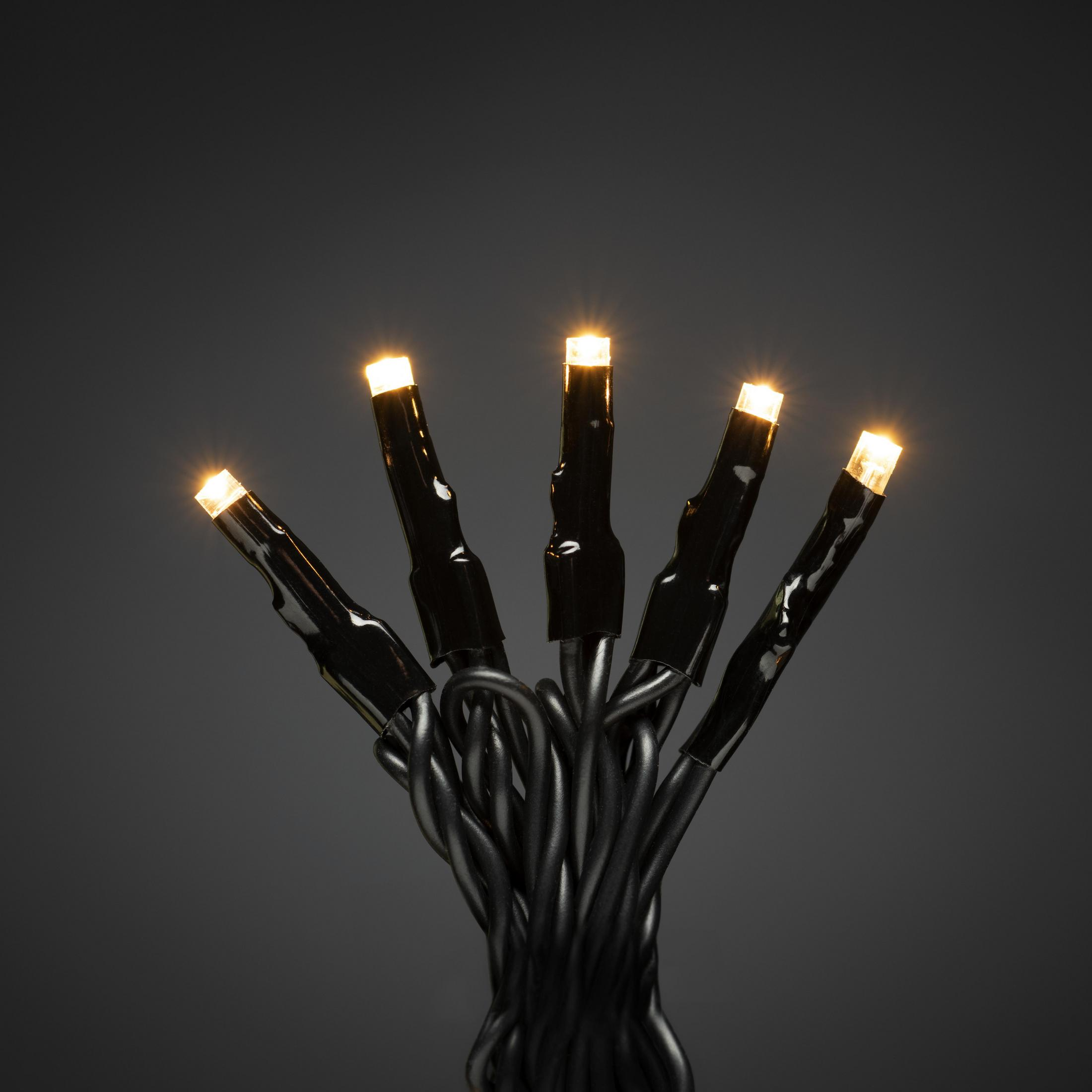 Lichterkette mit kleinen LED-Lichtern. Schwarzes Kabel mit hellgelb-weißen Lichtern.