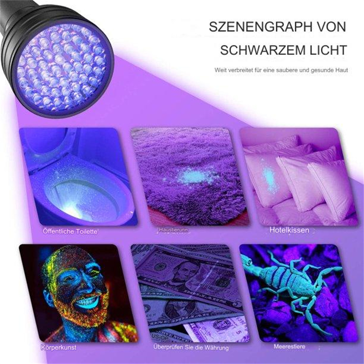 UV-Taschenlampe, die verschiedene Oberflächen beleuchtet: Toilette, Teppich, Bett, Gesicht, Geld und Skorpion.