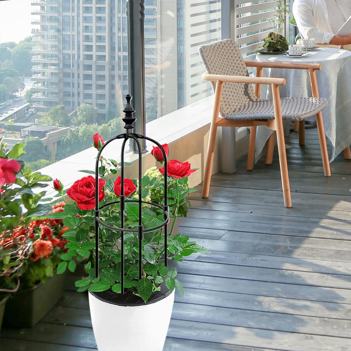 Außenszene mit roten Rosen in einem Pflanzgefäß. Ein schwarzes Spalier und Stadtblick.