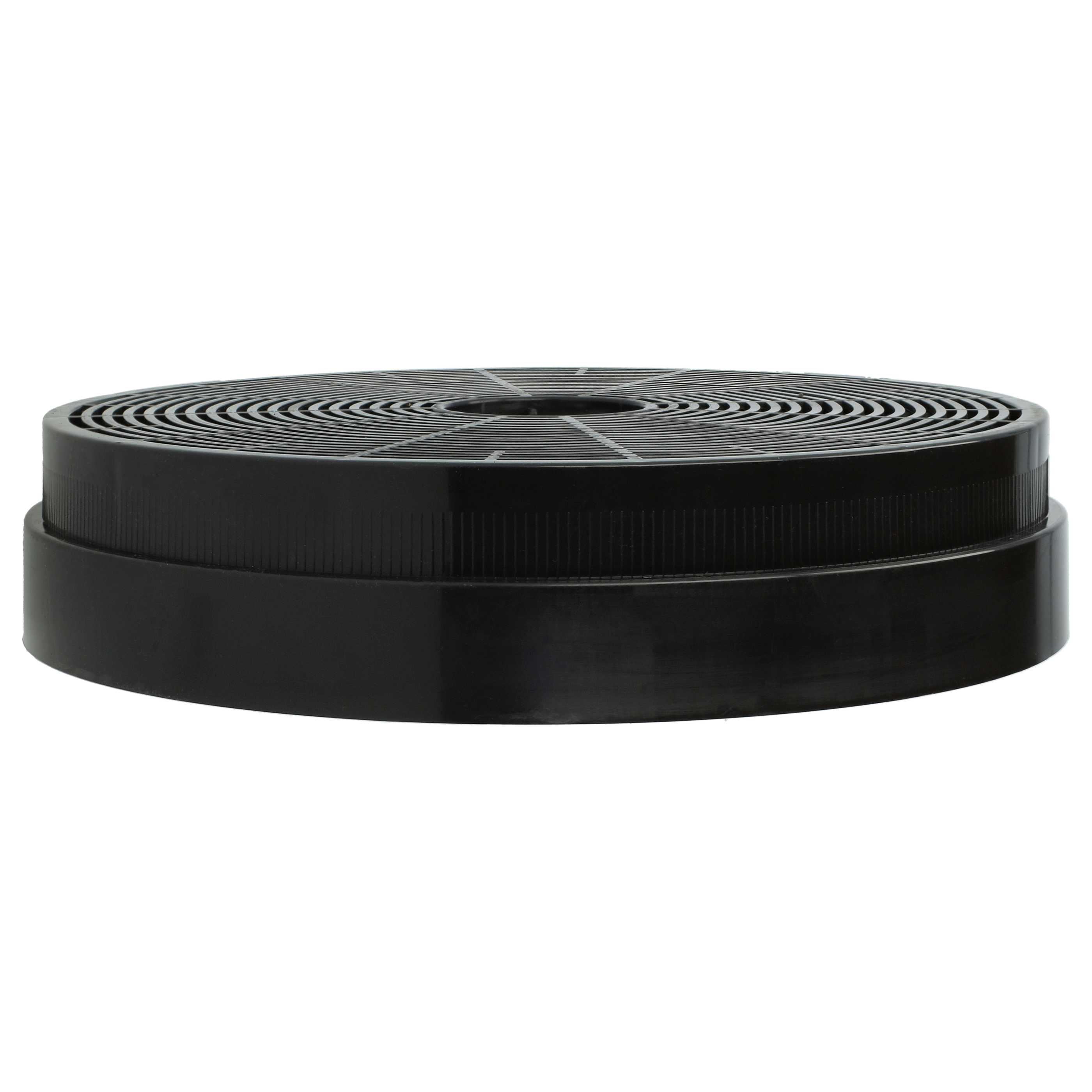 Schwarzer runder Filter mit vielen Löchern. Äußerer Ring ist schwarz, innerer Ring ist weiß. Weißer Hintergrund.