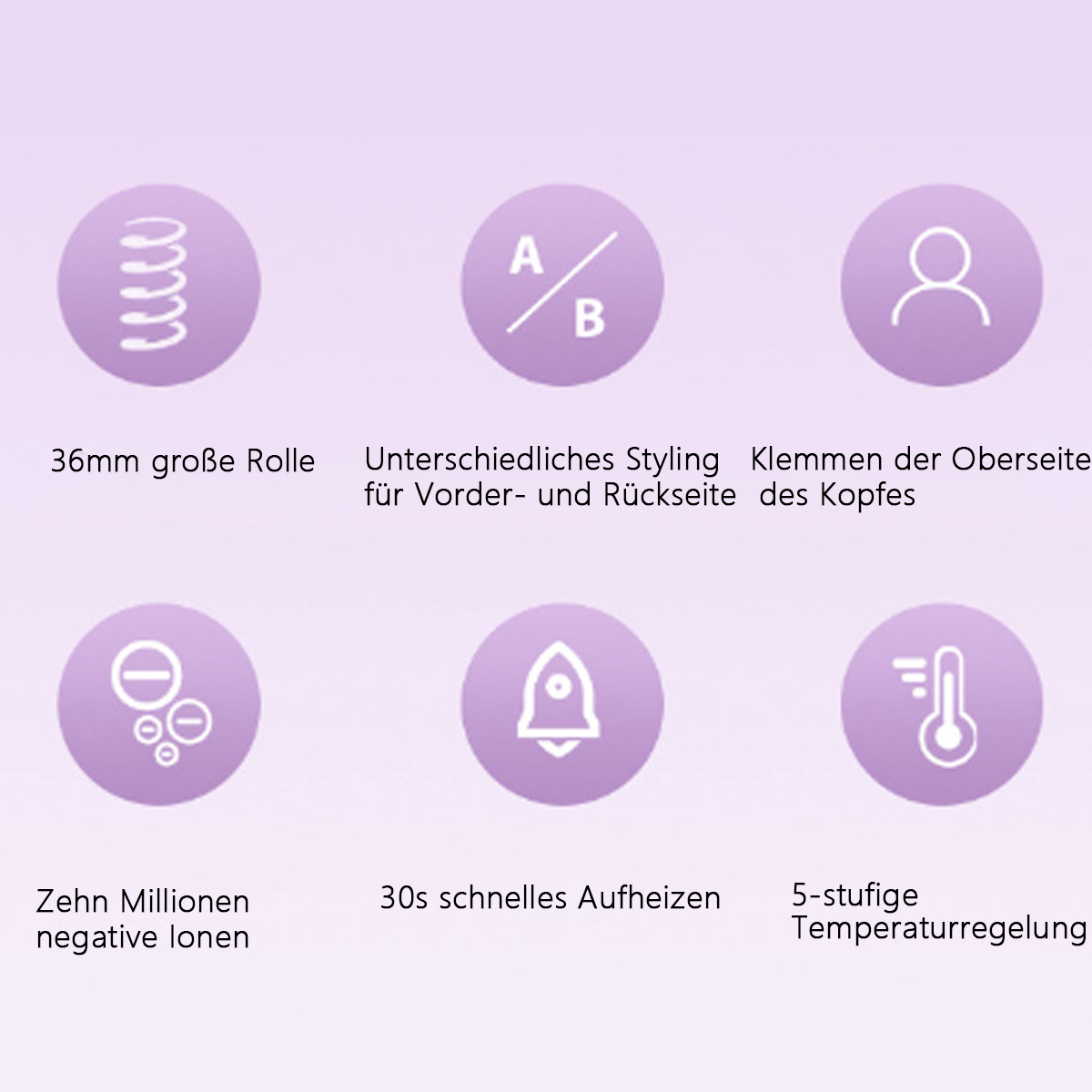 Sechs Symbole mit Text: Haarroller, Styling, Kopfclips, negative Ionen, schnelles Aufheizen, Temperaturregelung.