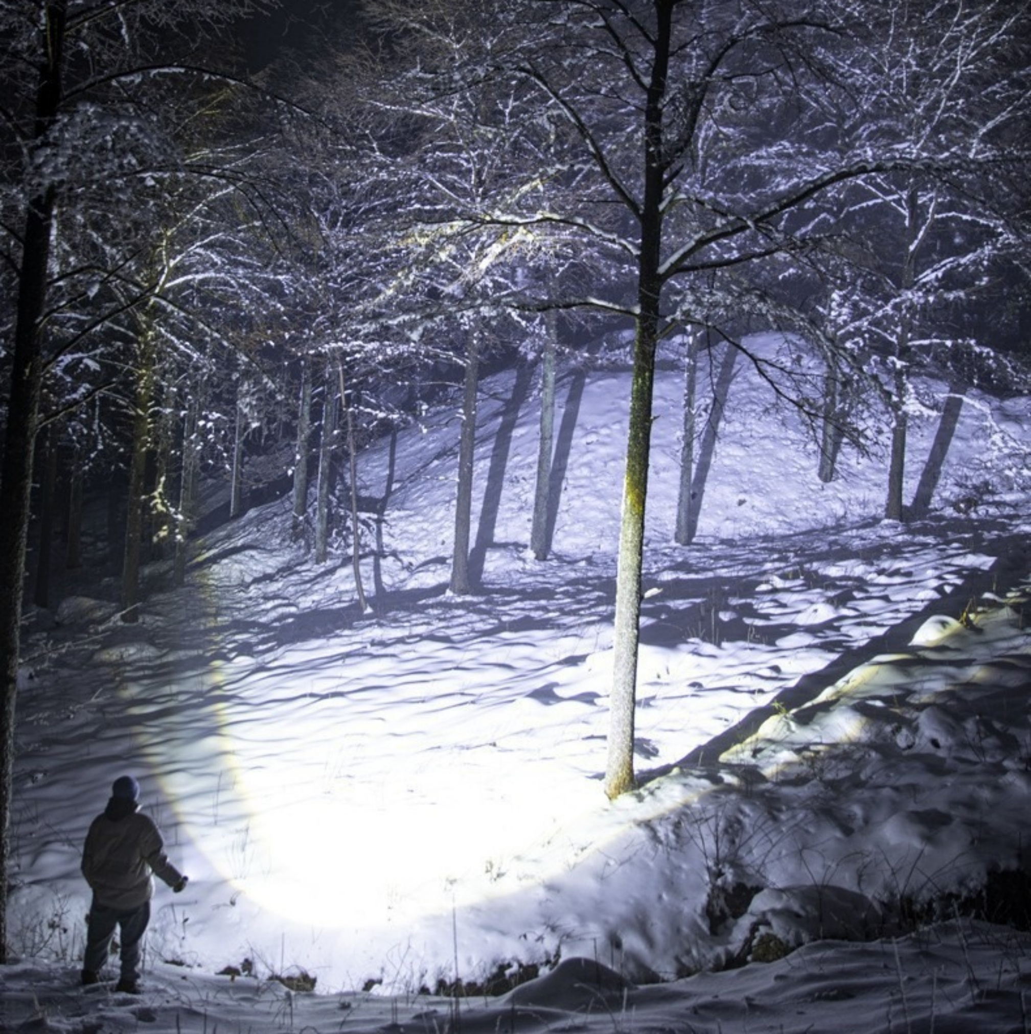 Eine Person steht nachts in einem verschneiten Wald, beleuchtet von einem hellen Scheinwerfer.