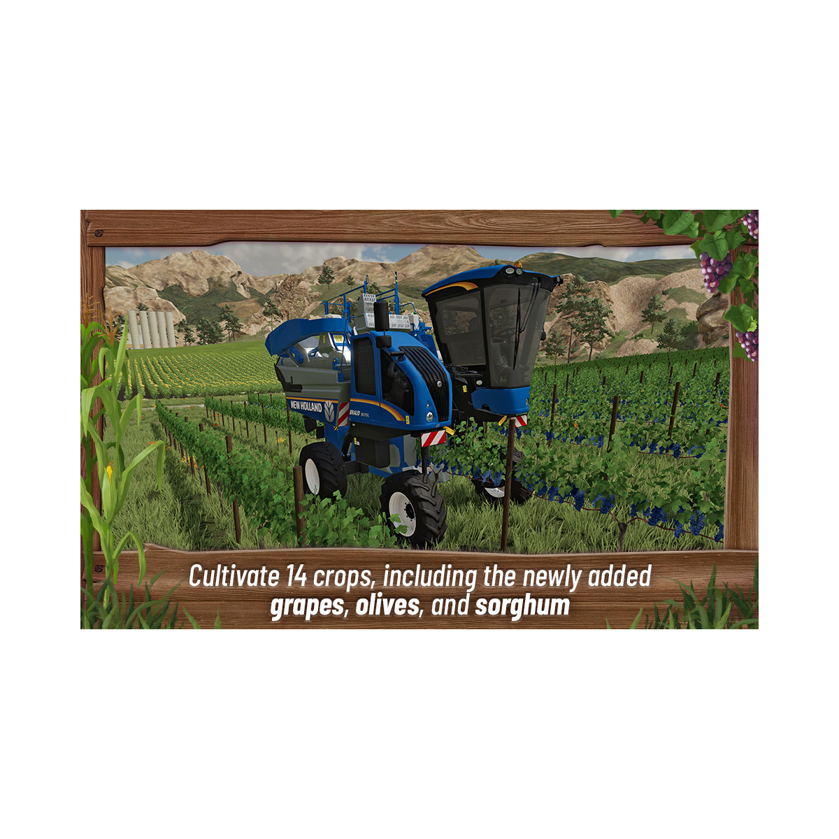 Vendemmiatrice New Holland blu in un vigneto. Il testo dice: coltiva 14 colture, tra cui uva, olive e sorgo.