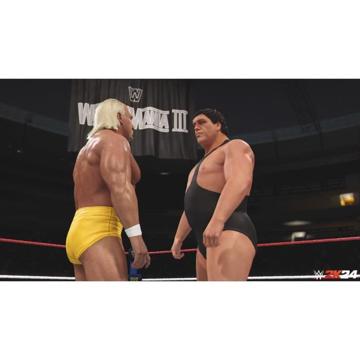 Hulk Hogan e Andre the Giant si affrontano sul ring. È visibile lo striscione di WrestleMania III.
