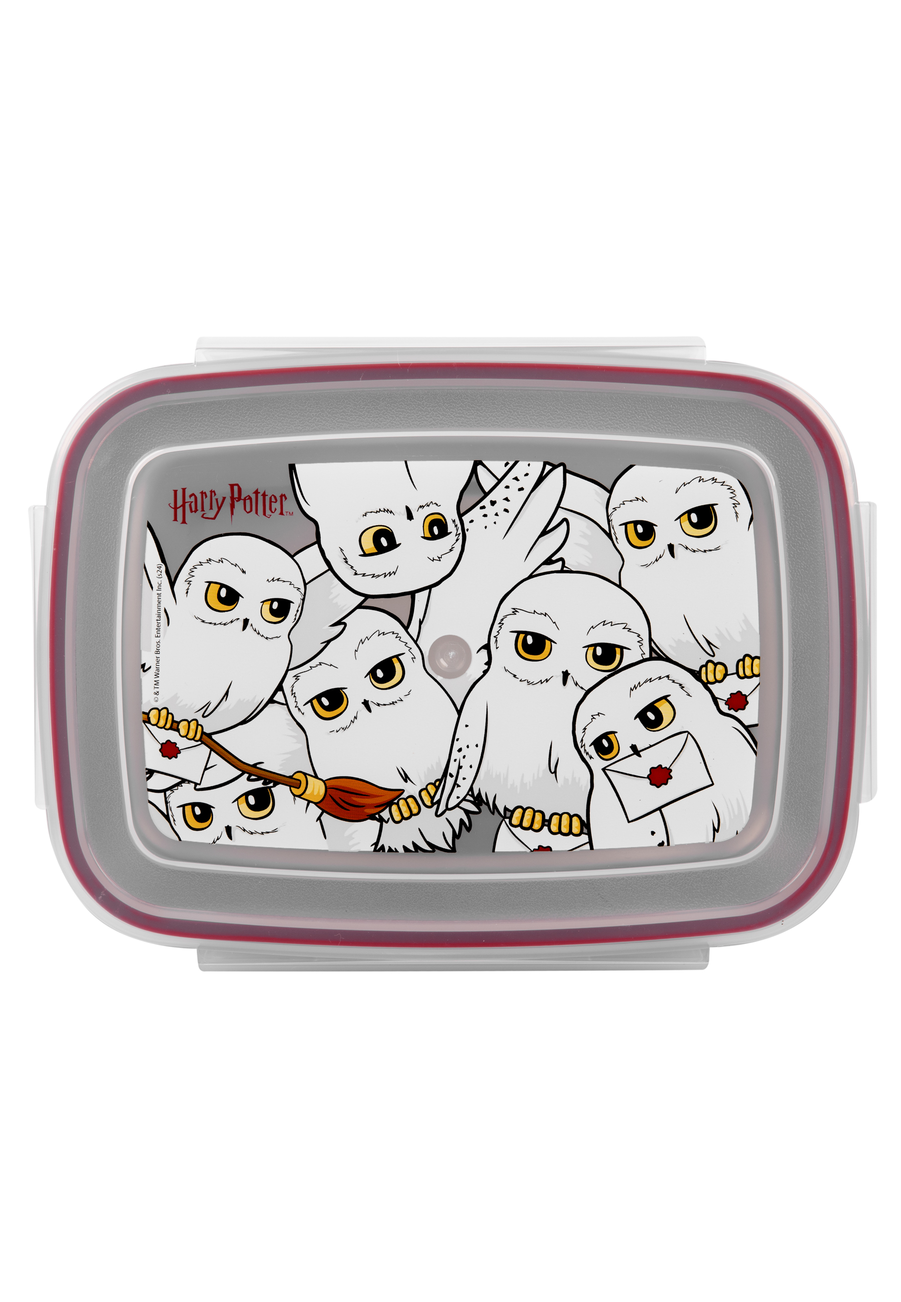Harry Potter Brotdose mit Eulen, die Briefe und Besen halten.