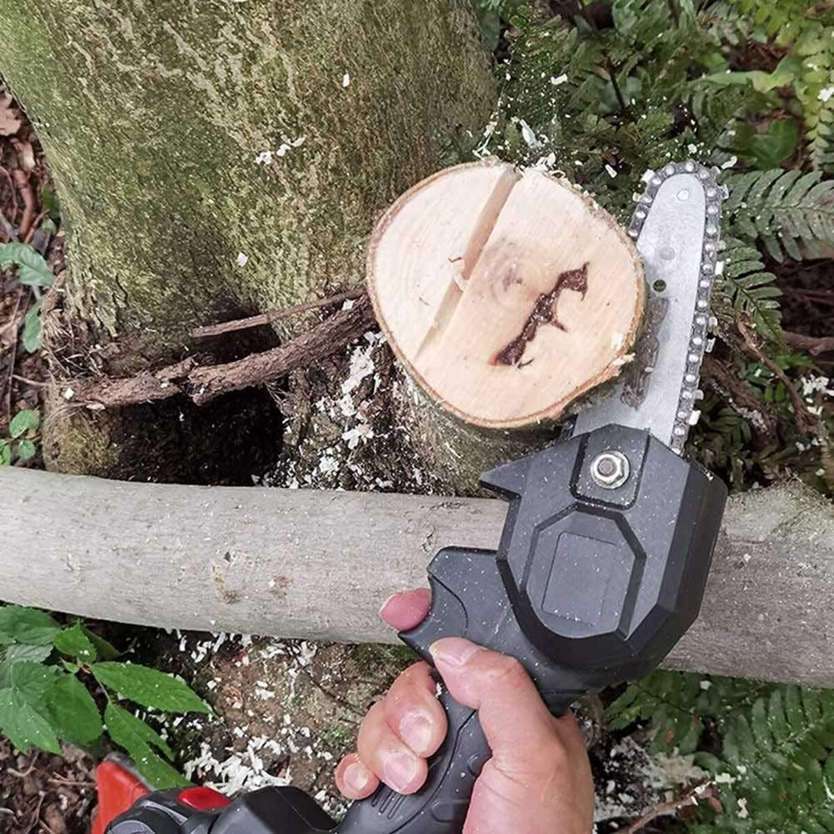 Una persona cortando una rama de árbol con una pequeña motosierra en un entorno forestal.