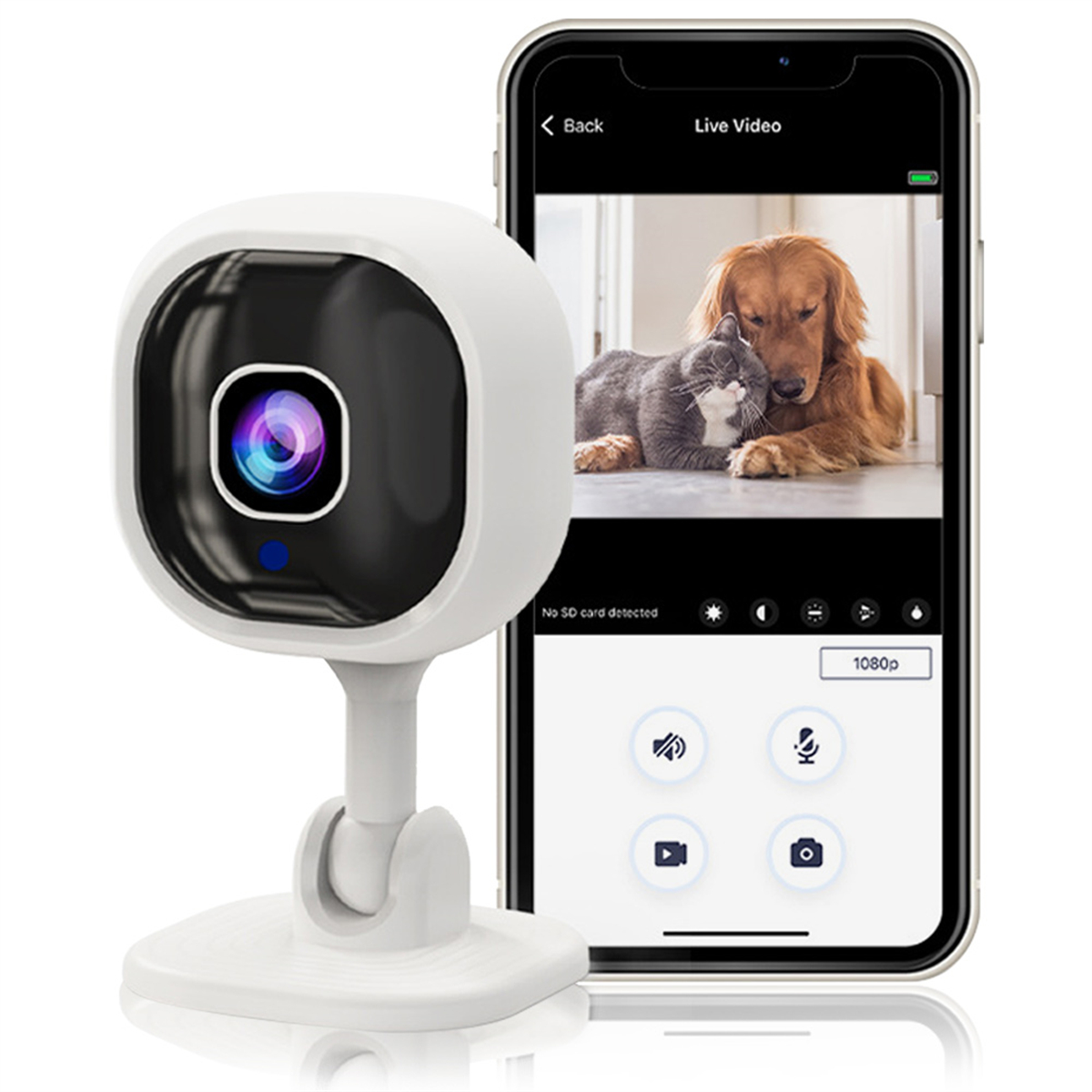 Eine weiße Überwachungskamera und ein Telefon, das eine Live-Videoübertragung von zwei Hunden anzeigt.