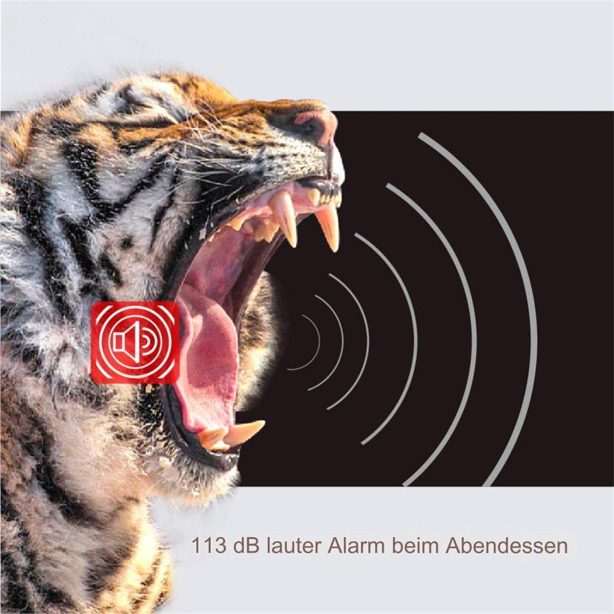 Ein Tiger brüllt, mit Schallwellen-Symbolen und dem Text 113 dB lauter beim Abendessen.