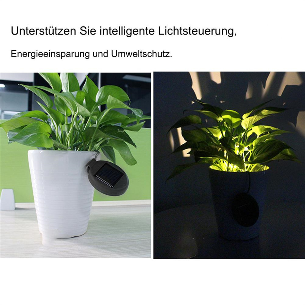 Zwei Bilder, eine Pflanze in einem weißen Topf mit solarbetriebenem Licht, das nachts leuchtet.