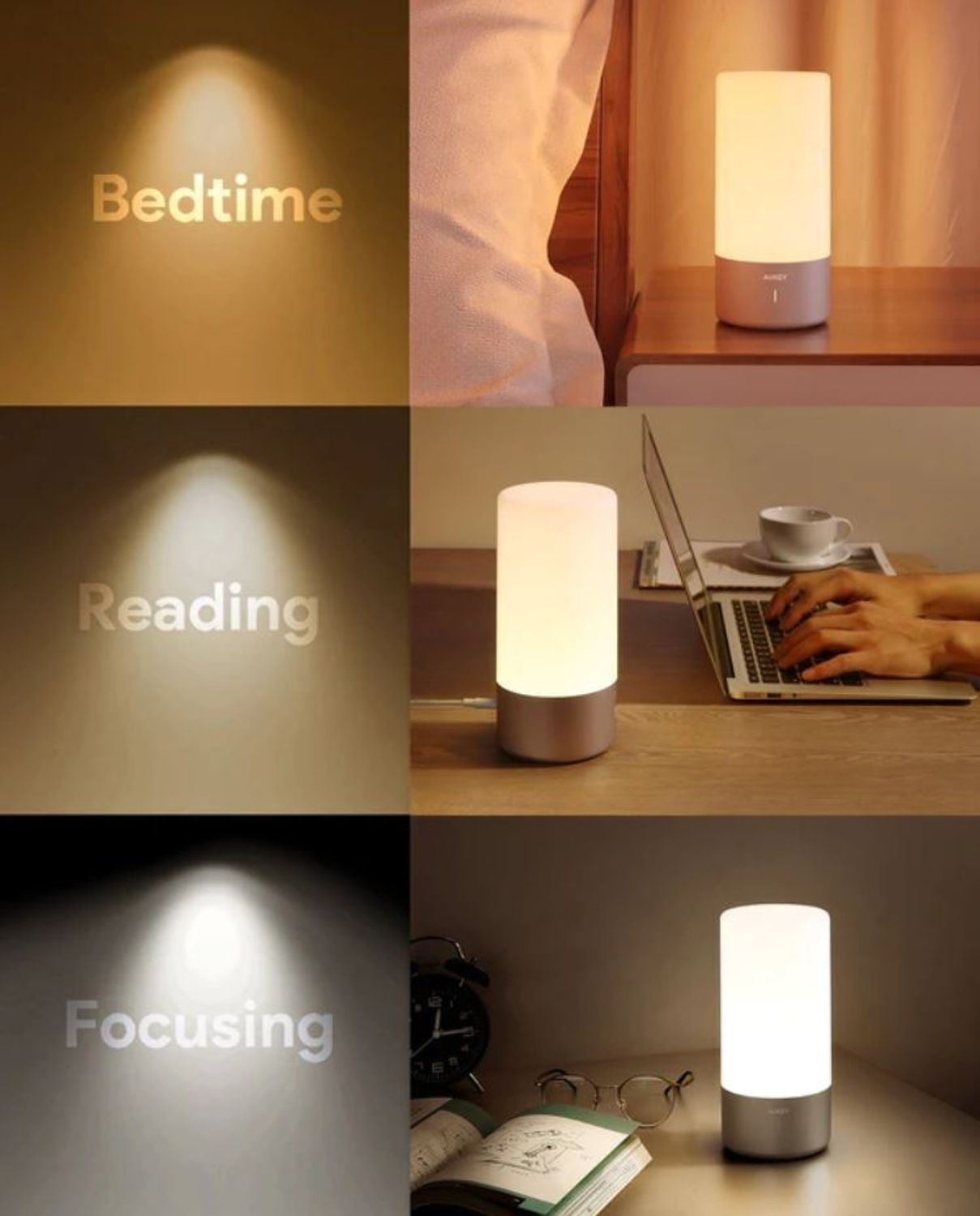 Ein Satz Stative in verschiedenen Größen mit einem Ringlicht.