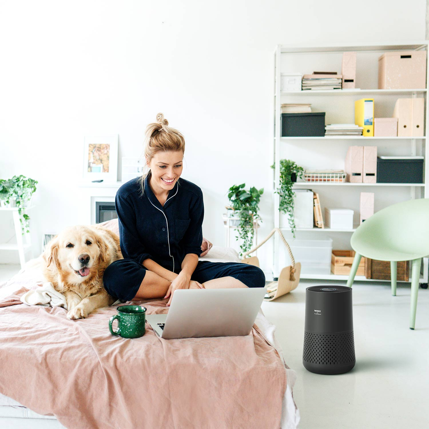 Donna a letto che lavora su un laptop, con cane e purificatore d'aria nella stanza. Piante e decorazioni visibili.