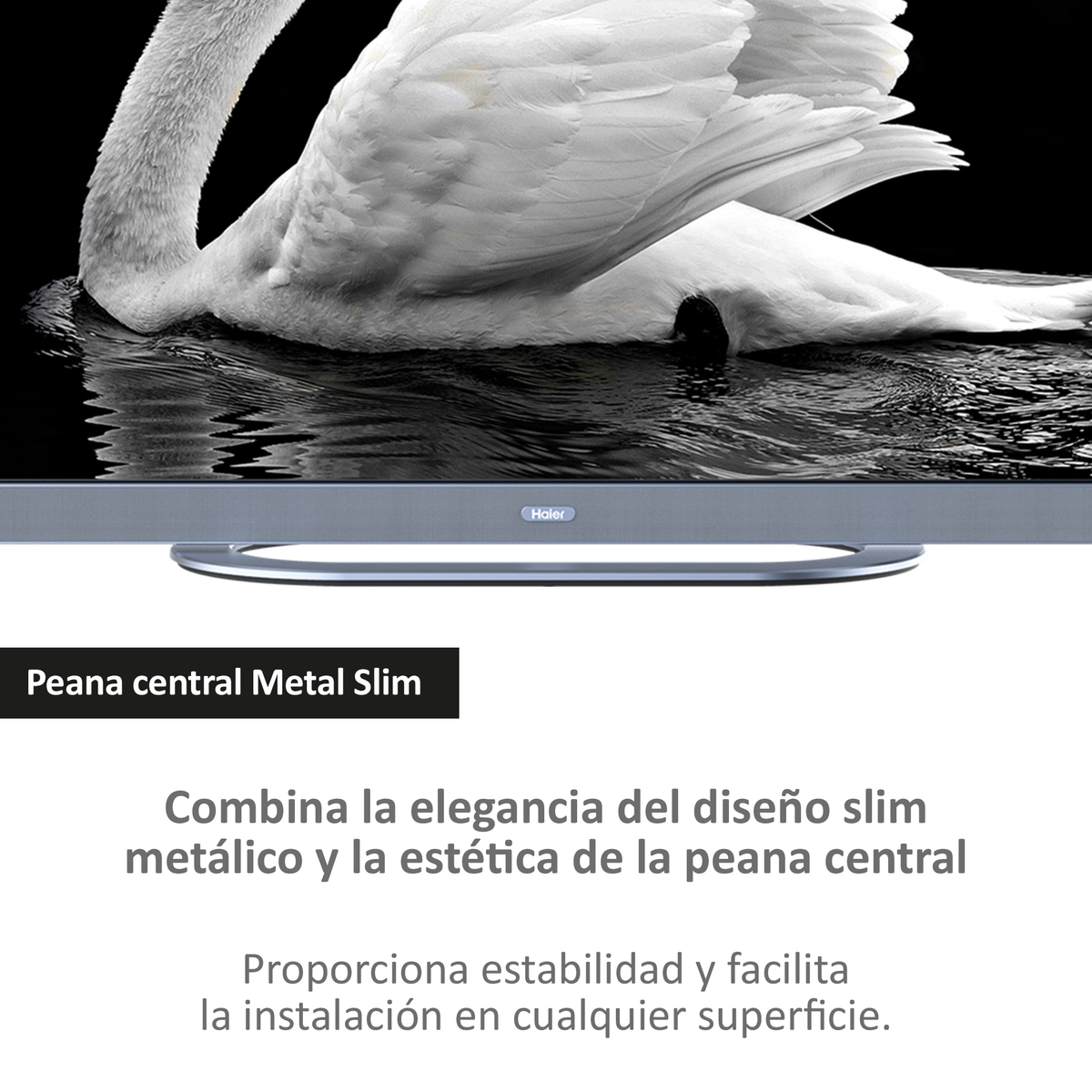 A TV screen displays a white swan over a black background with text below.