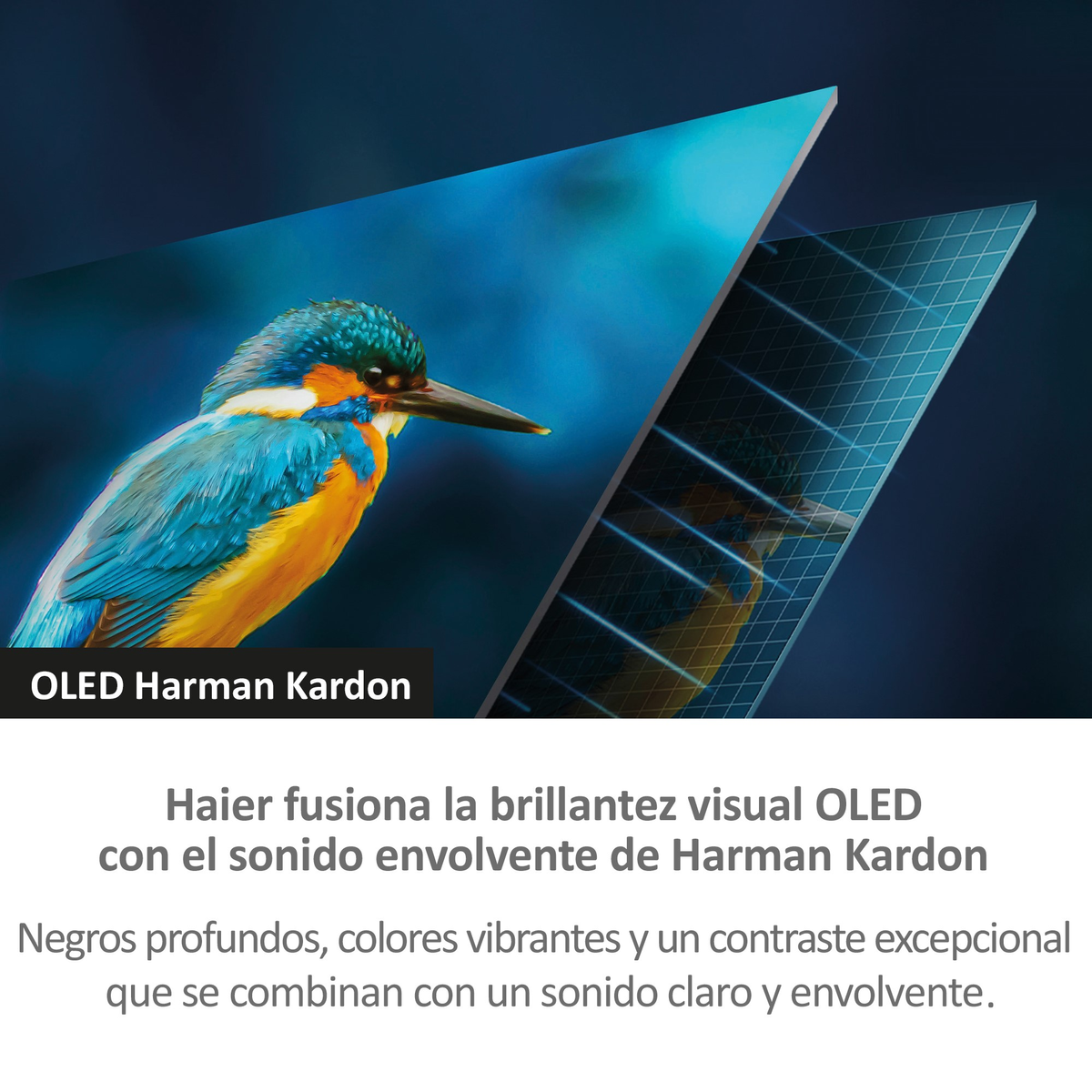 Image showing a bird. Text above states "OLED Harman Kardon". Text in Spanish below.