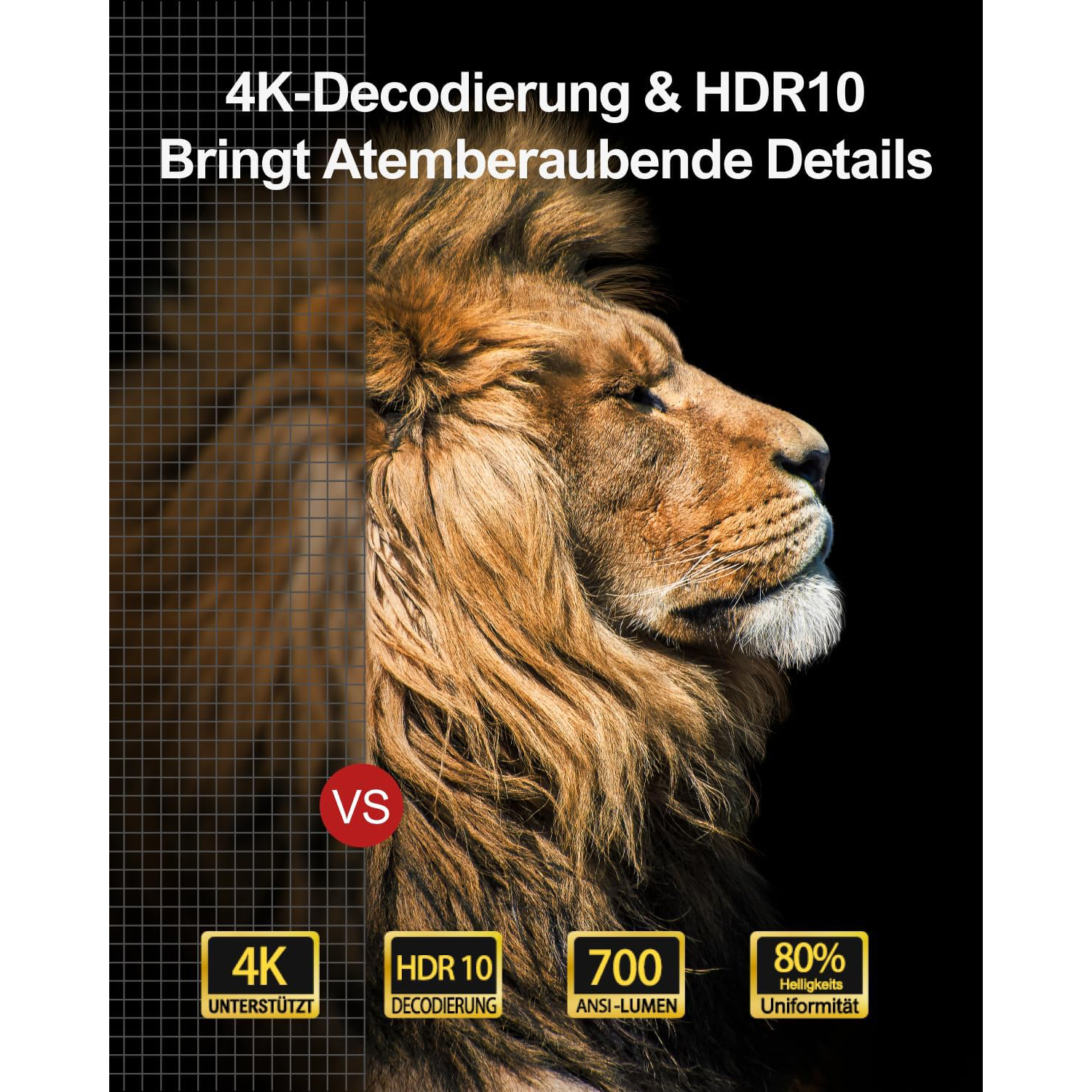 Löwengesicht-Bild mit Text-Overlay, einschließlich Details zu 4K, HDR10 und Helligkeit.