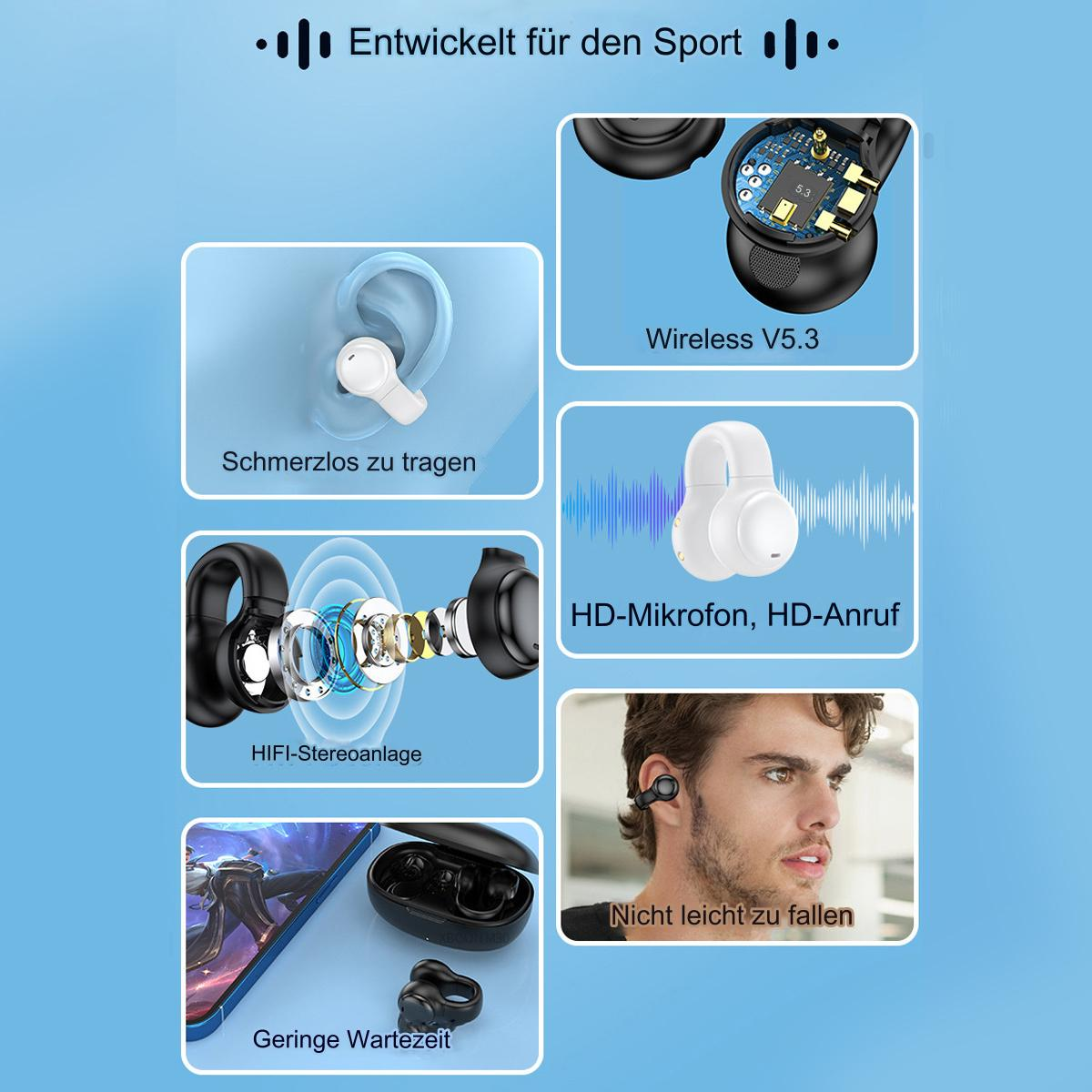 Diagramm von kabellosen Ohrhörern und Komponenten, mit Textbeschreibungen.