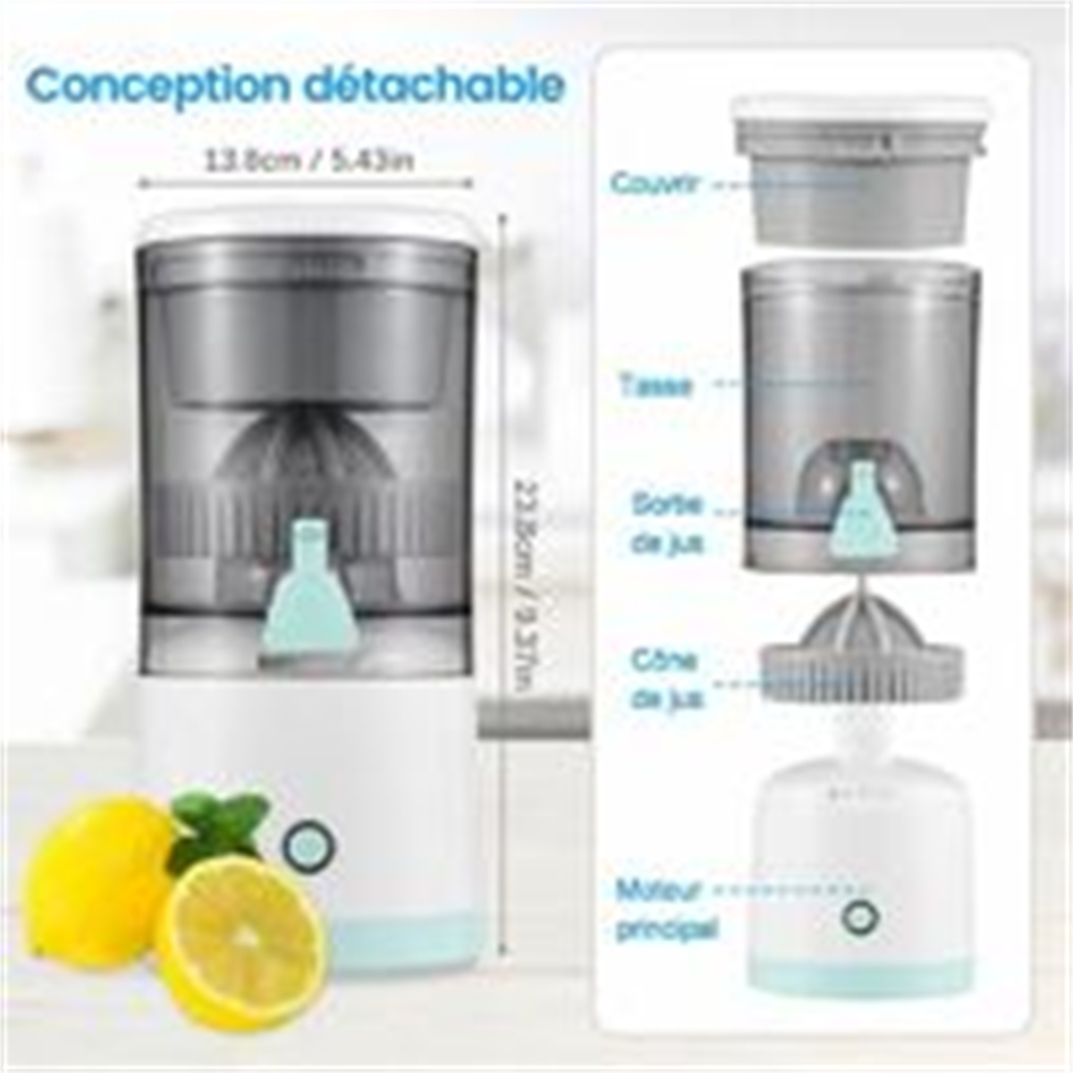 Entsafter in Teilen. Hat einen Behälter, einen Becher, einen Kegel und einen Motor.