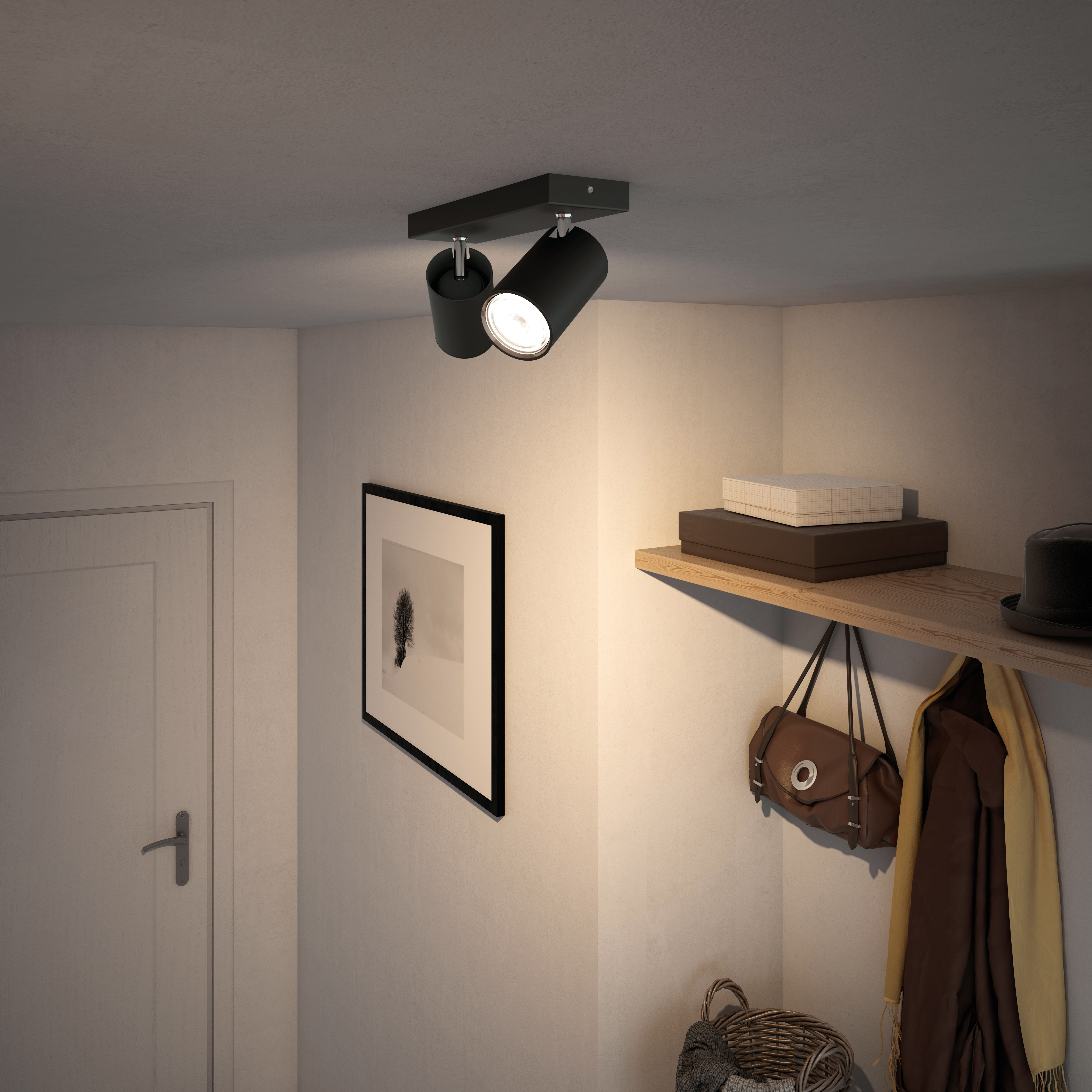 Zwei schwarze Strahler an der Decke, mit einem Bild an der Wand und einem Regal mit Gegenständen.