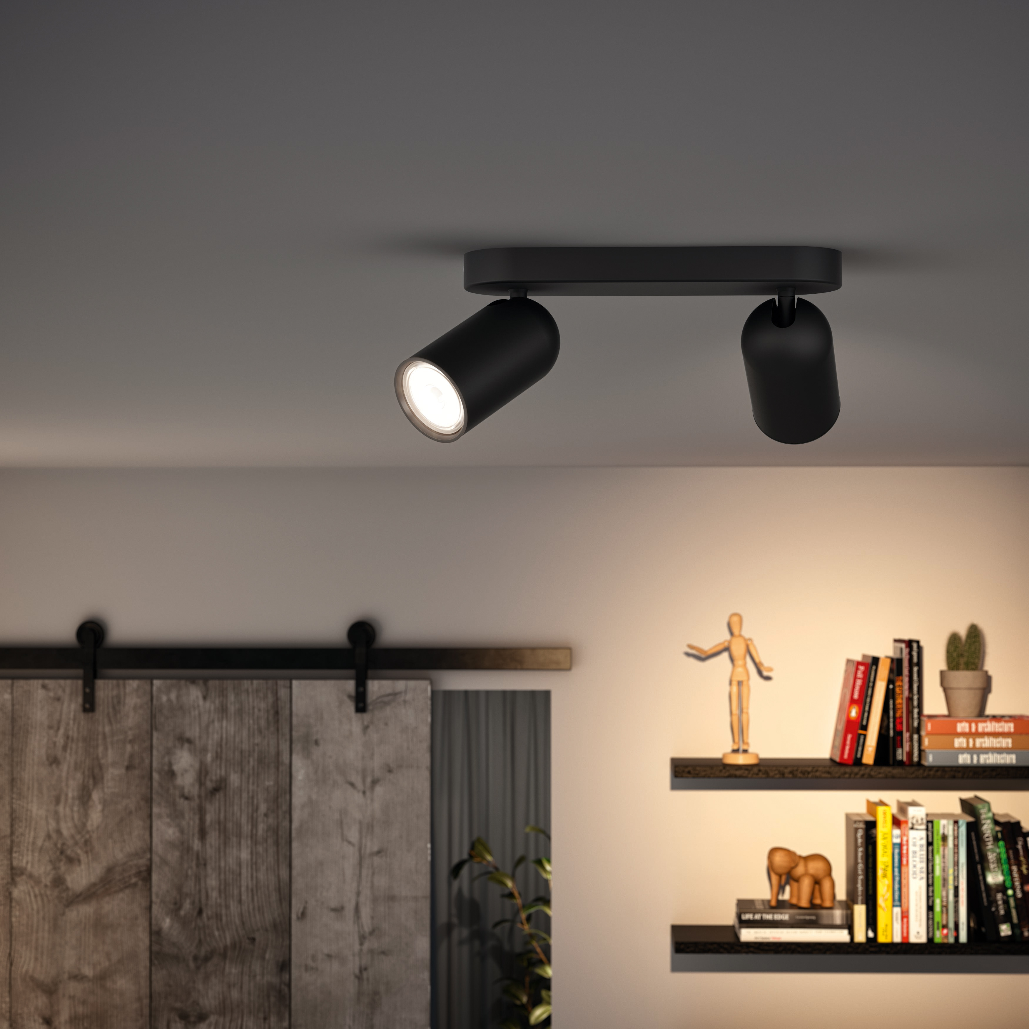 Schwarze Deckenstrahler, zwei Leuchten. Holztür und Regale mit Büchern und Dekor, dunkler Hintergrund.